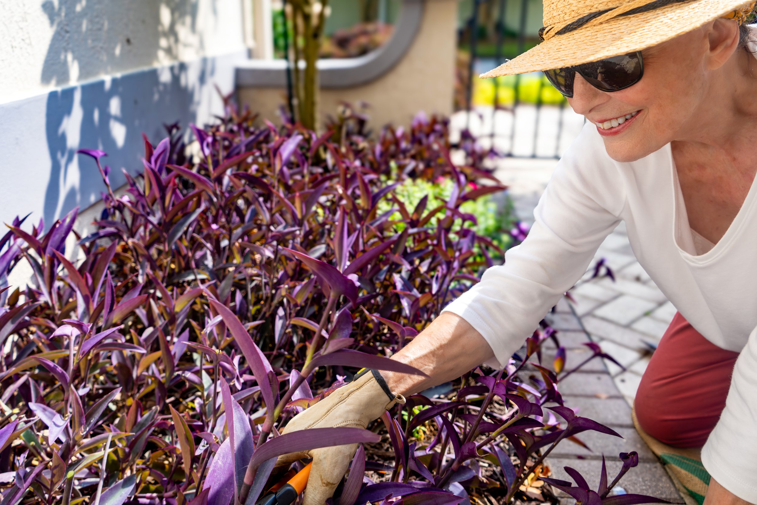 Gardening-6.jpg