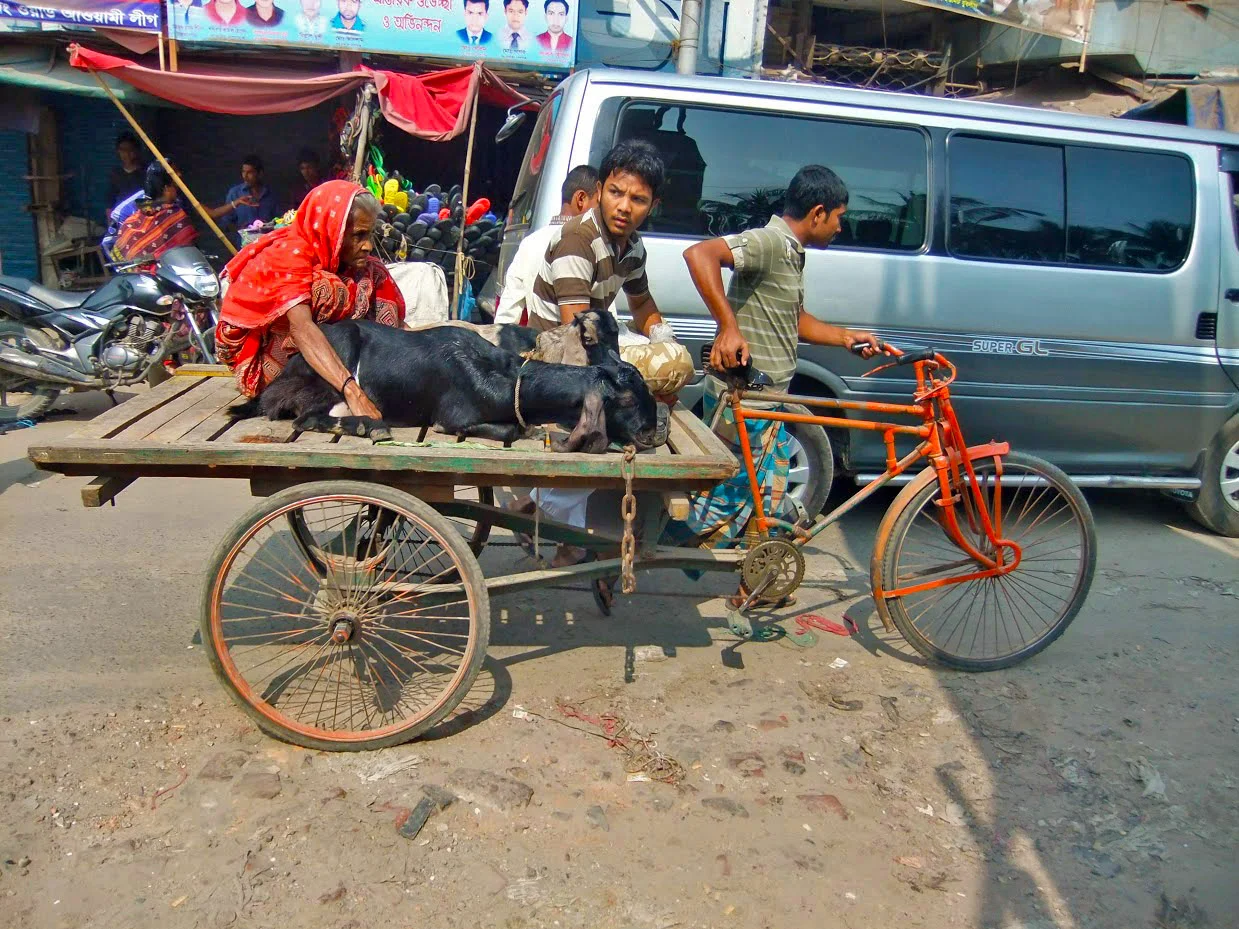 Producer, The Risk Beneath Bangladesh