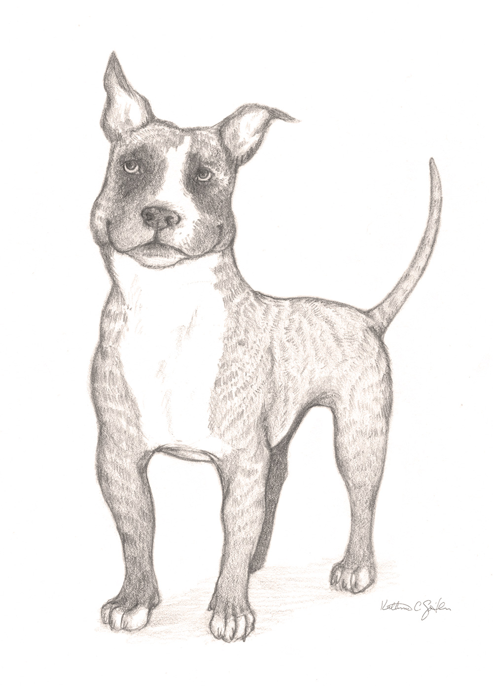Shelter Dog Portrait "Peanut Butter"