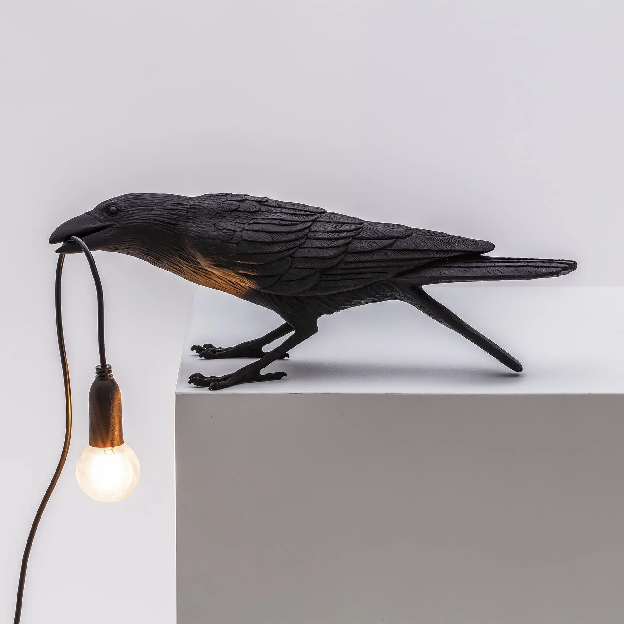 Seletti Blsck Crow.jpg