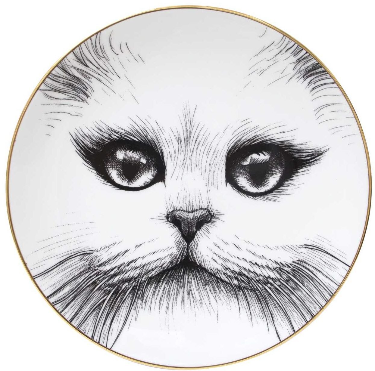 rory dobner cat plate