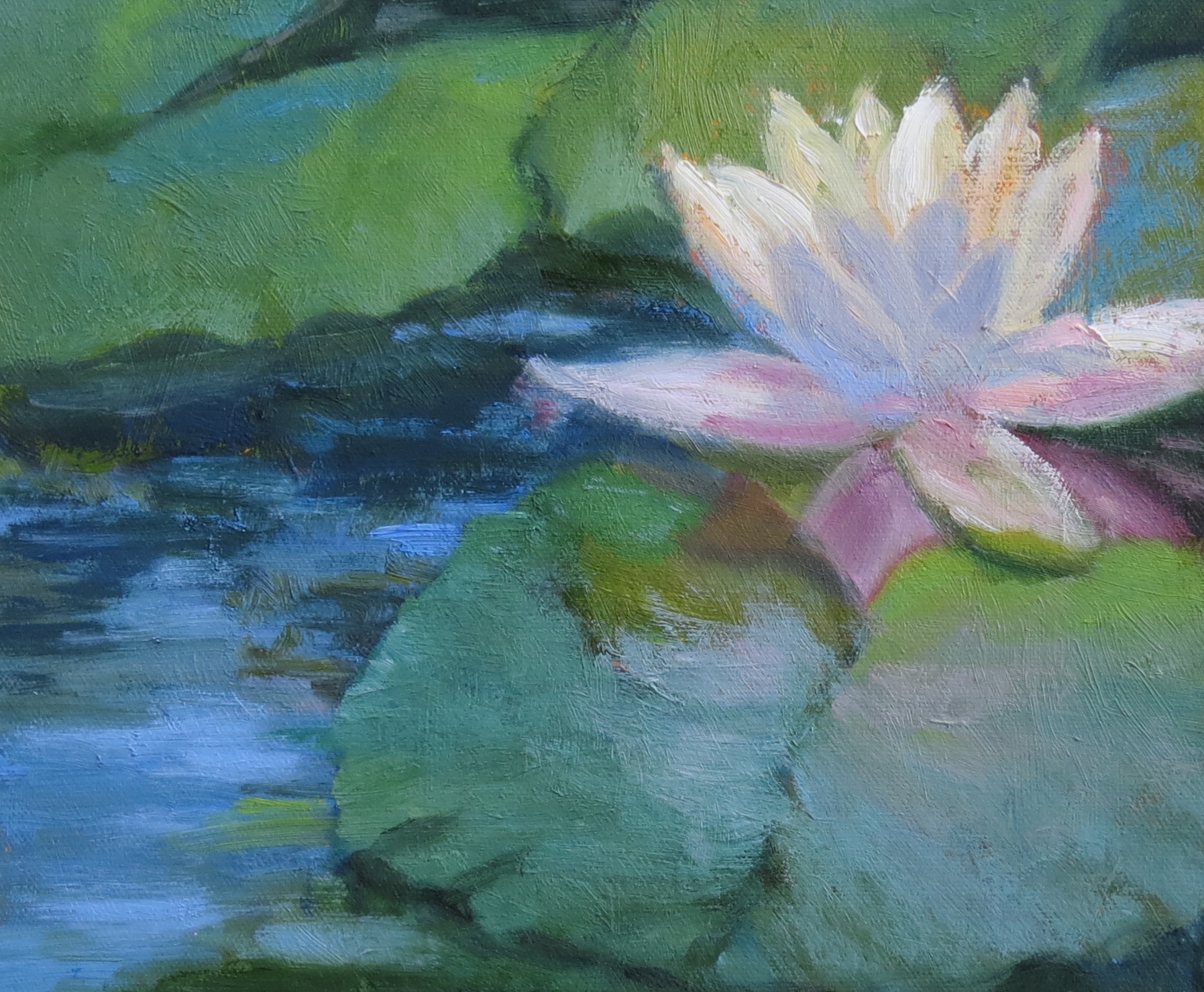 Water Lily  8" x 10"