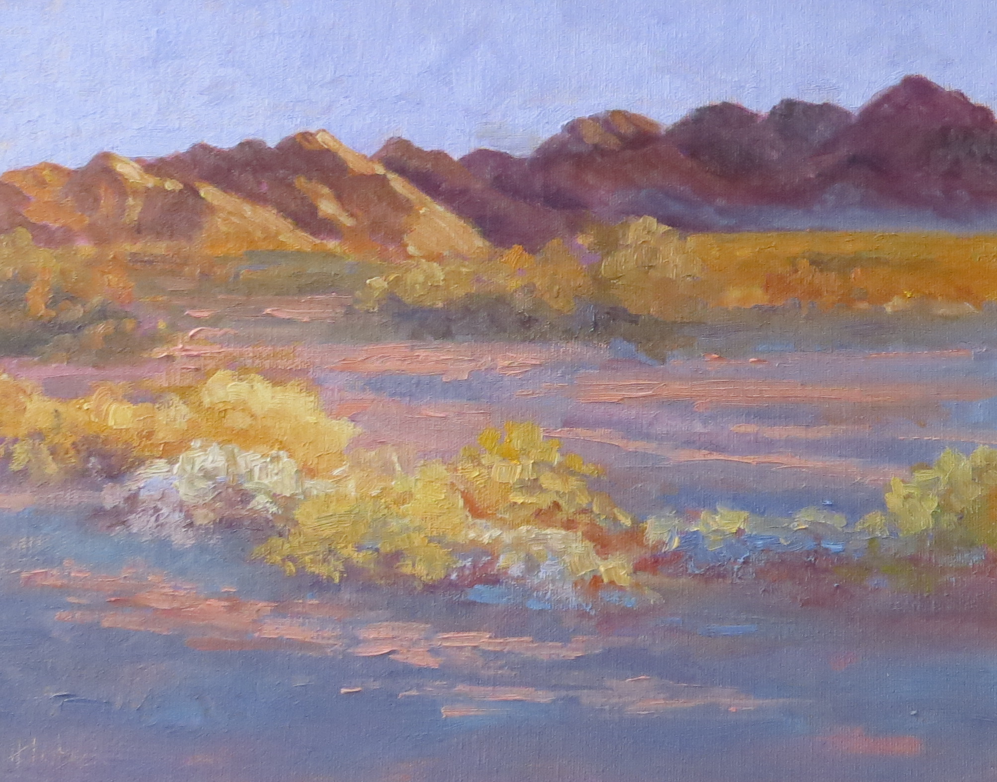 Painted Desert  11" x 14"