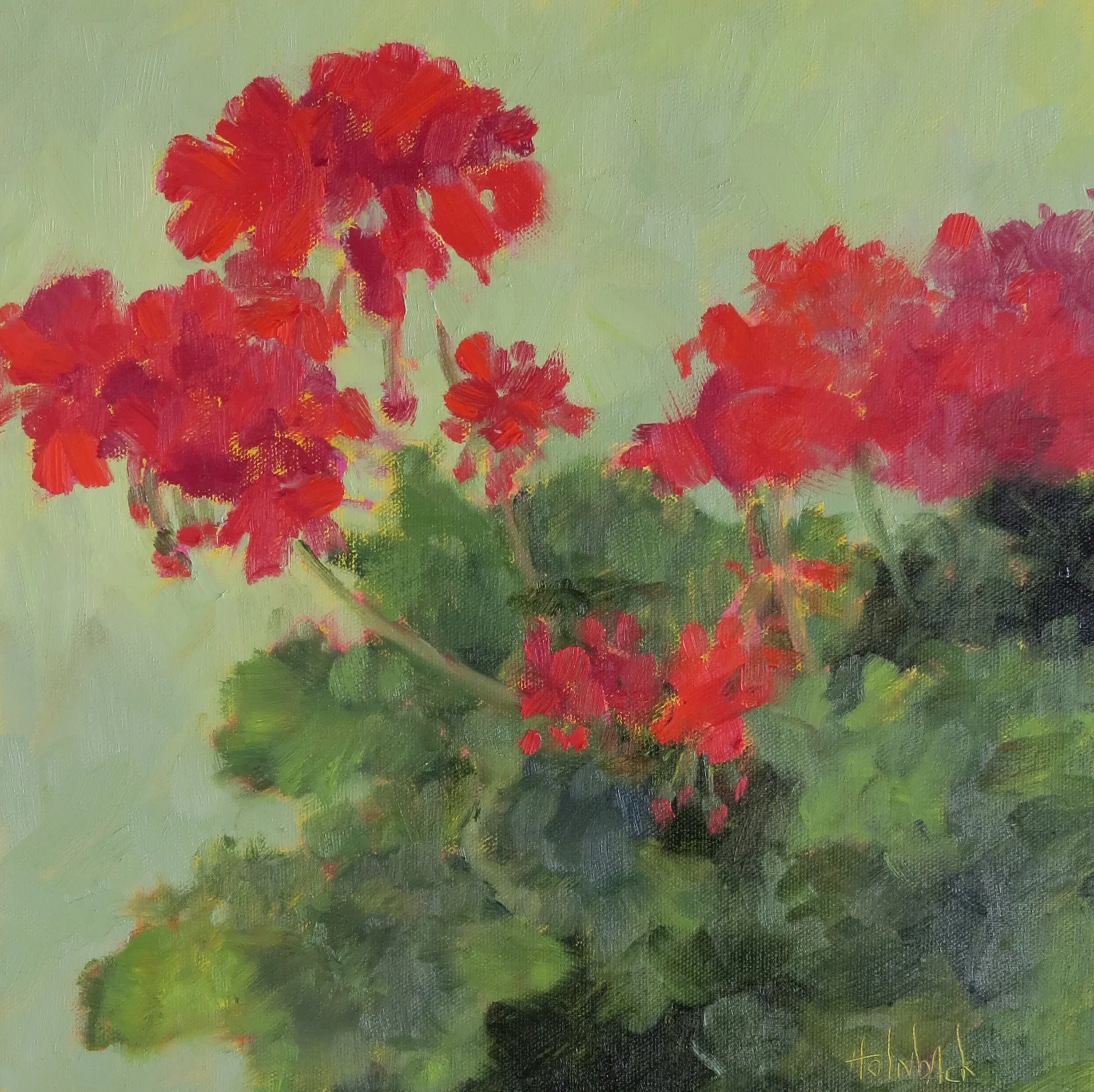 Spring Geraniums 12" x 12"