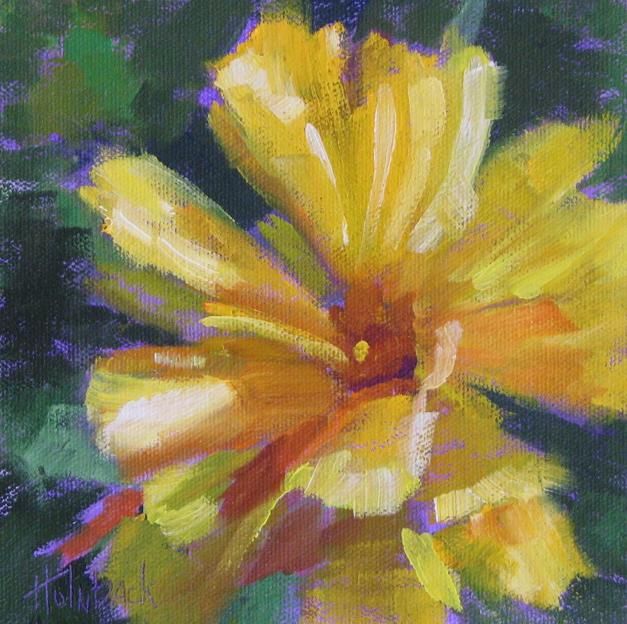 Coreopsis  6" x 6"