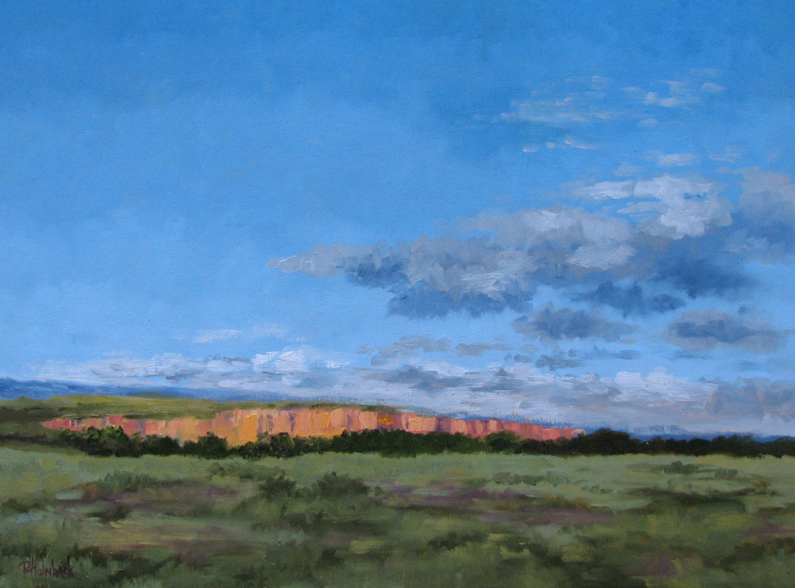 Distant Light  18" x 24"  SOLD