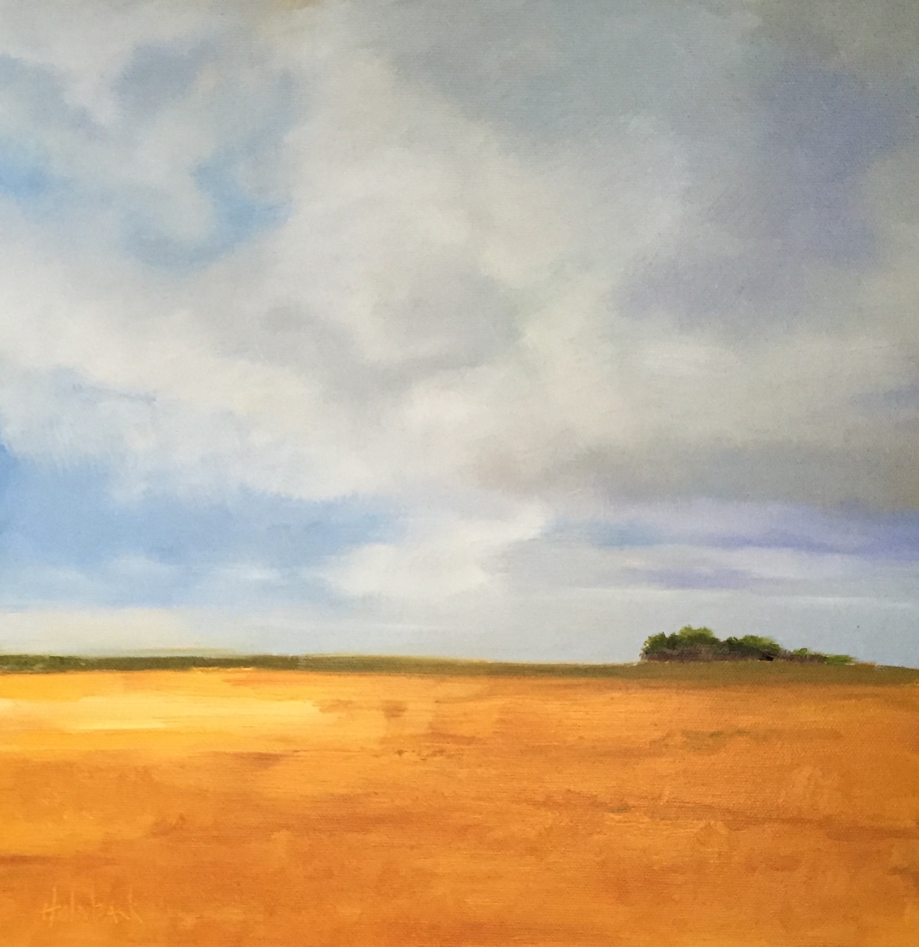 Morning Light  12" x 12"  "Best Of Show"  Grasslands Inspiration IV  Greeley, CO