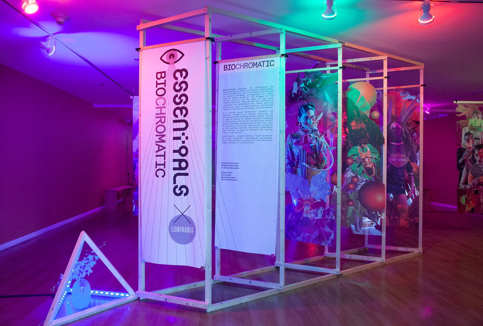 luminaria_biochromatic_partition_essentials_creative.jpg