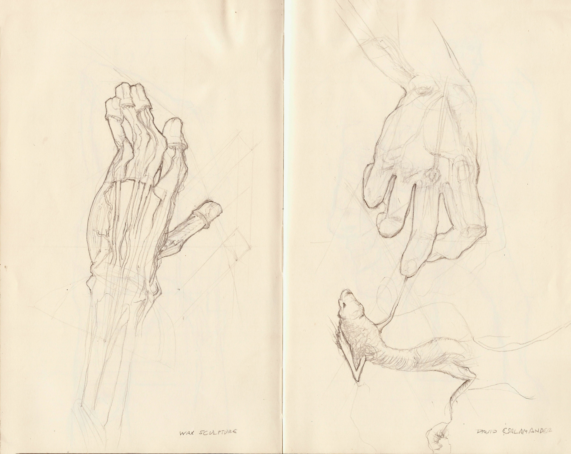 Hand Sketches