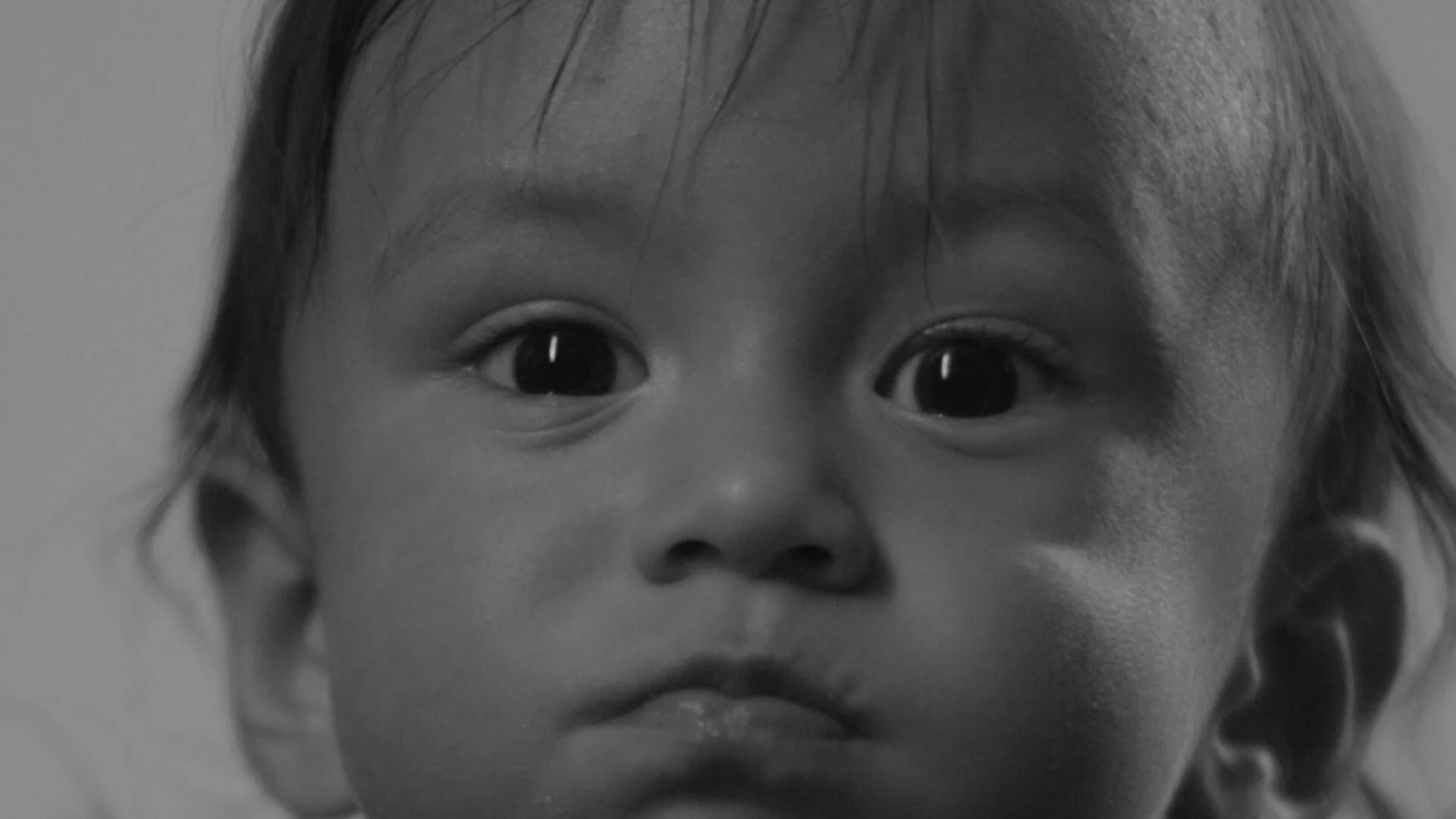 100 Percent Human "JulioJr"