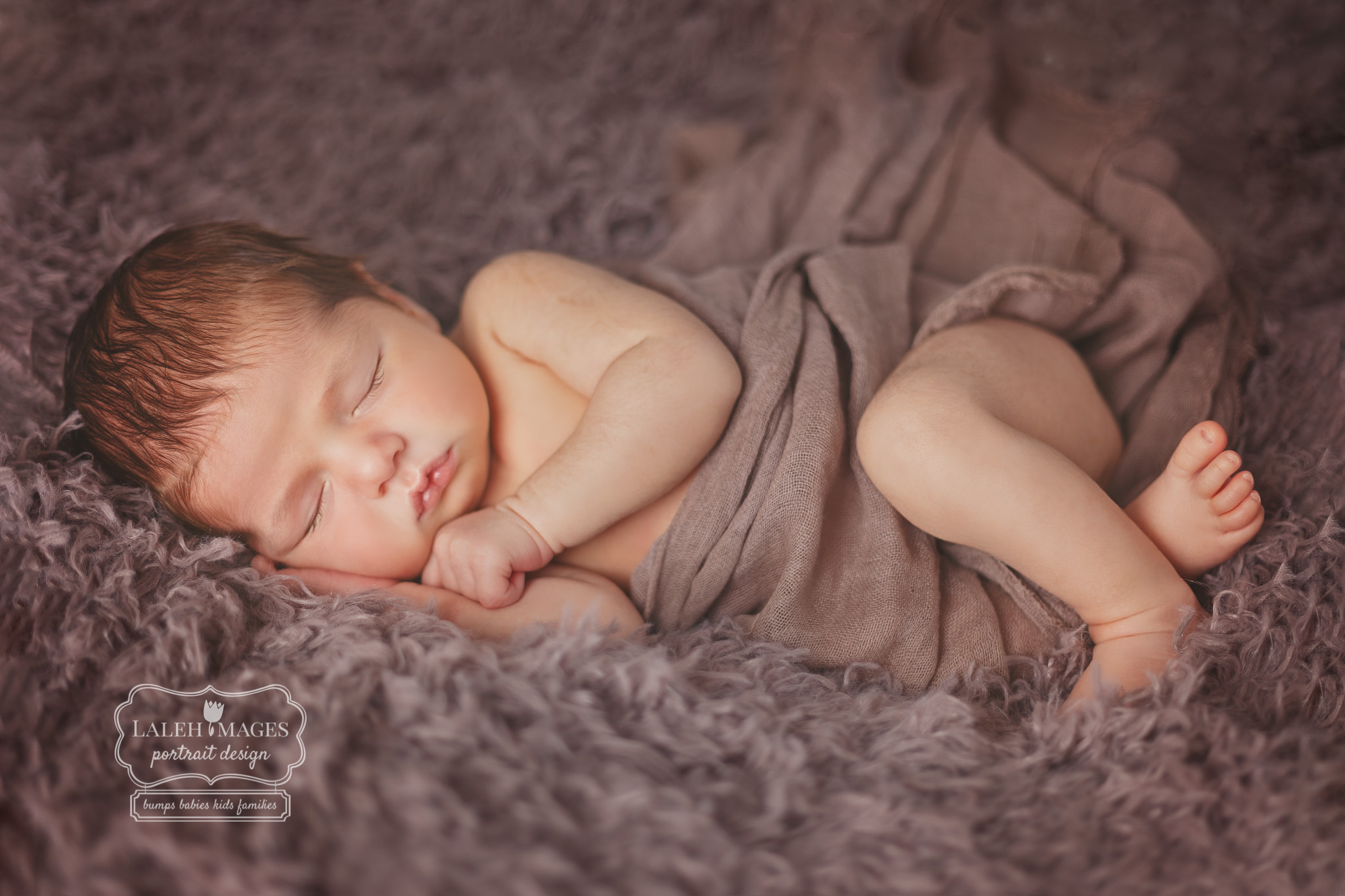 © Laleh Images Portrait Design www.lalehimages.com