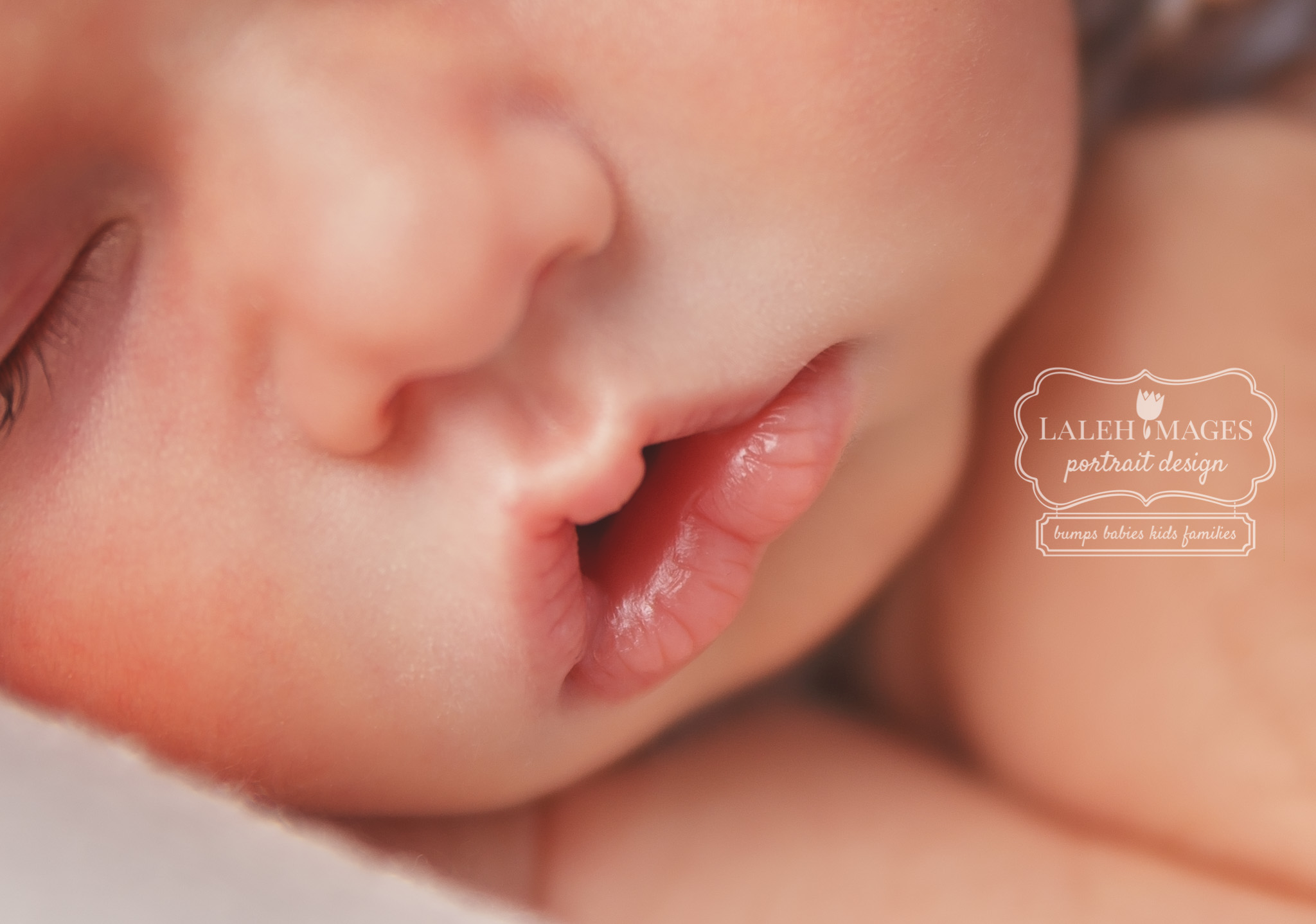 © Laleh Images Portrait Design www.lalehimages.com