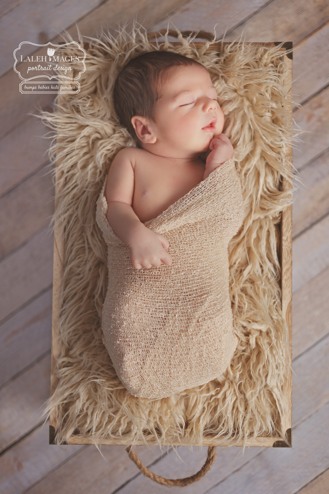 © Laleh Images Portrait Design www.lalehimages.com