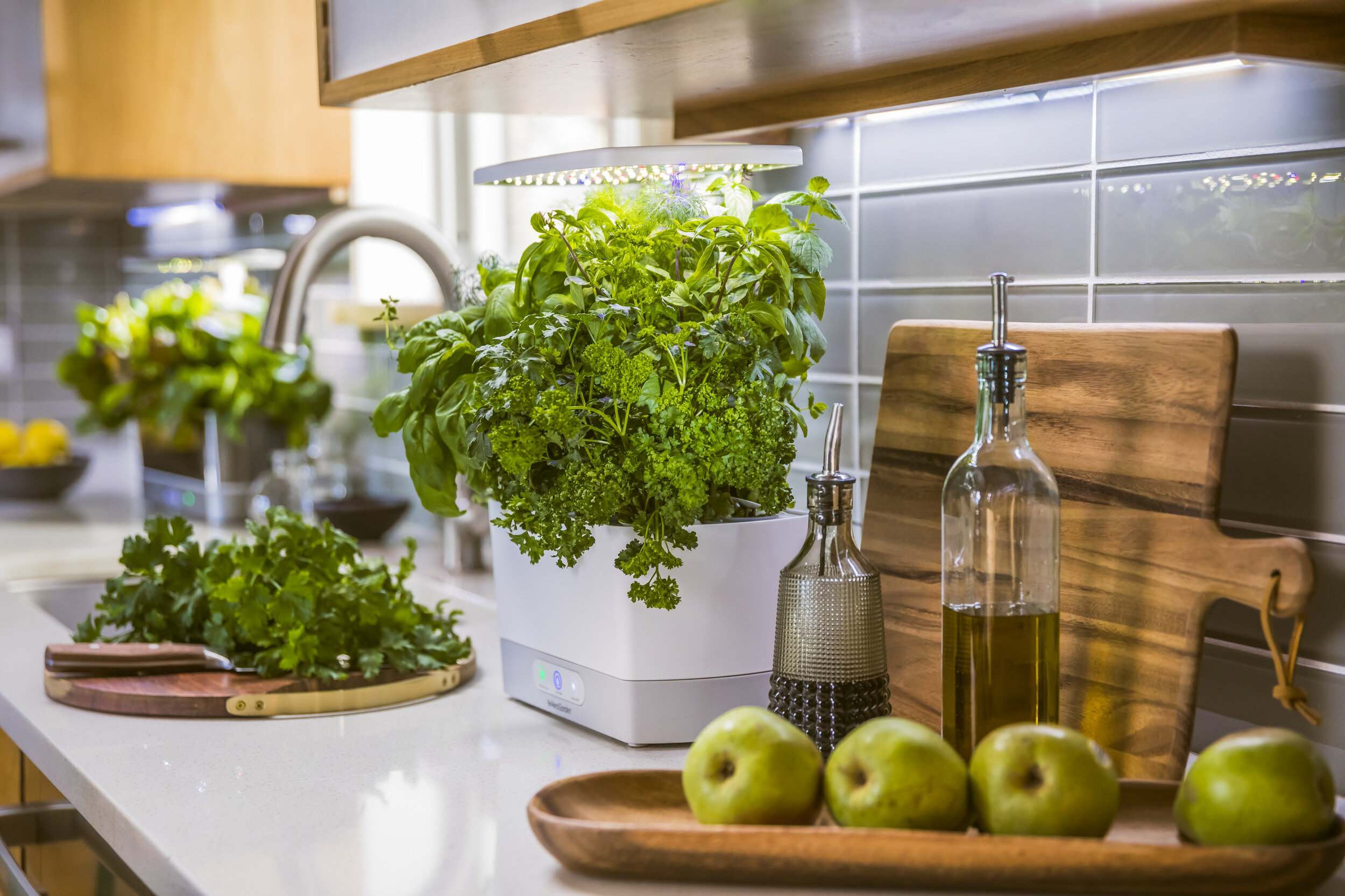 aerogarden2019-2.jpg