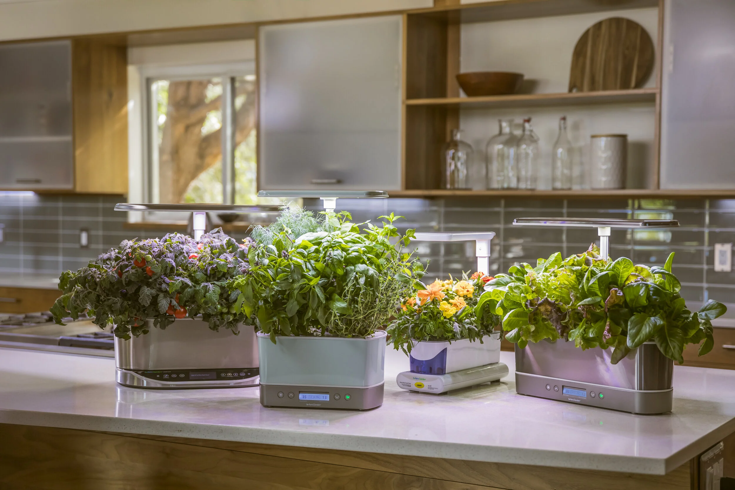 aerogarden2019-1.jpg