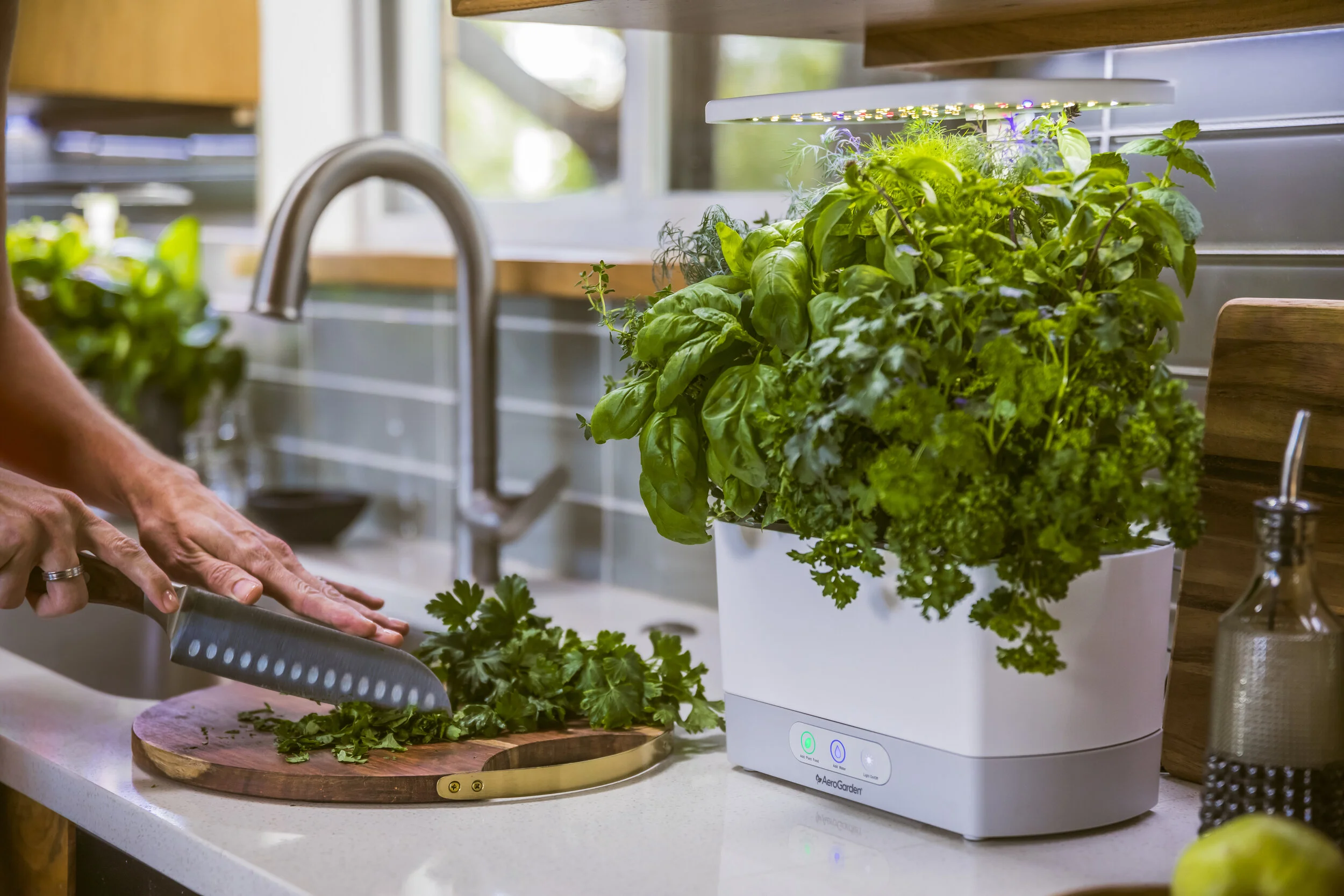 aerogarden2019-3.jpg