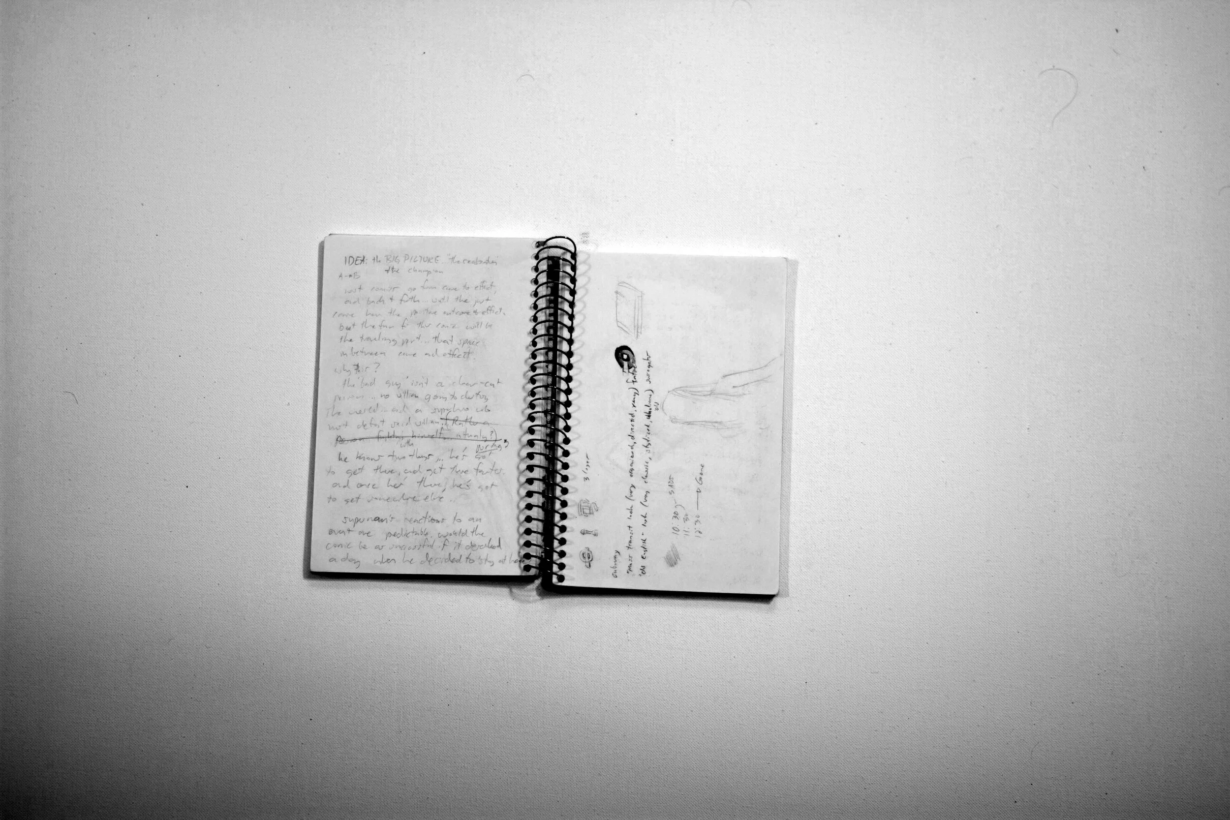 IMGL7639.jpg