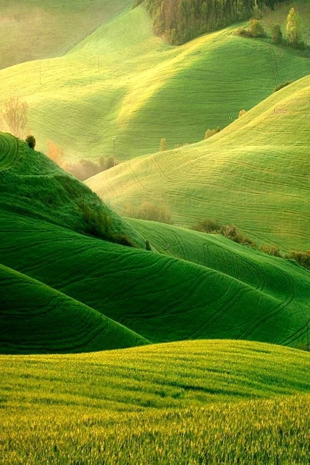 green hills.jpg