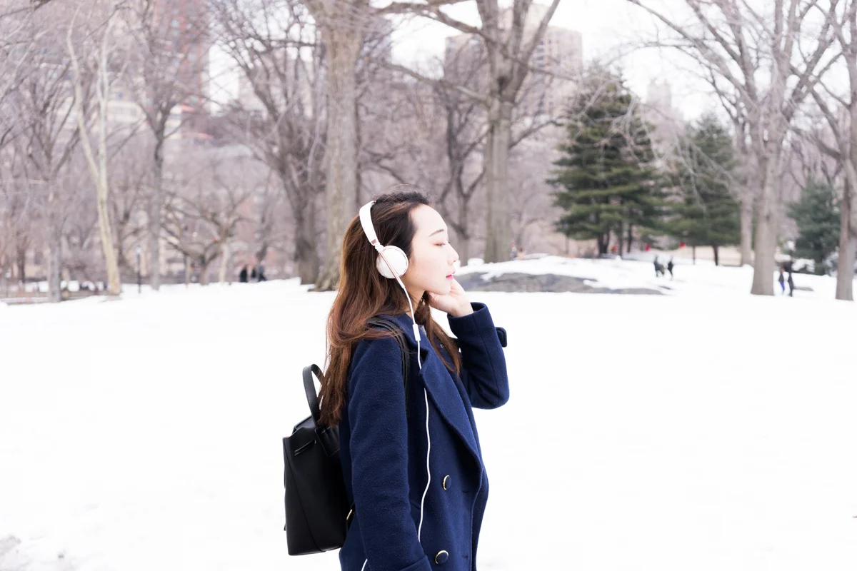 LeSycomore_Last_Snow_in_NewYork-mansurGavrel.jpg