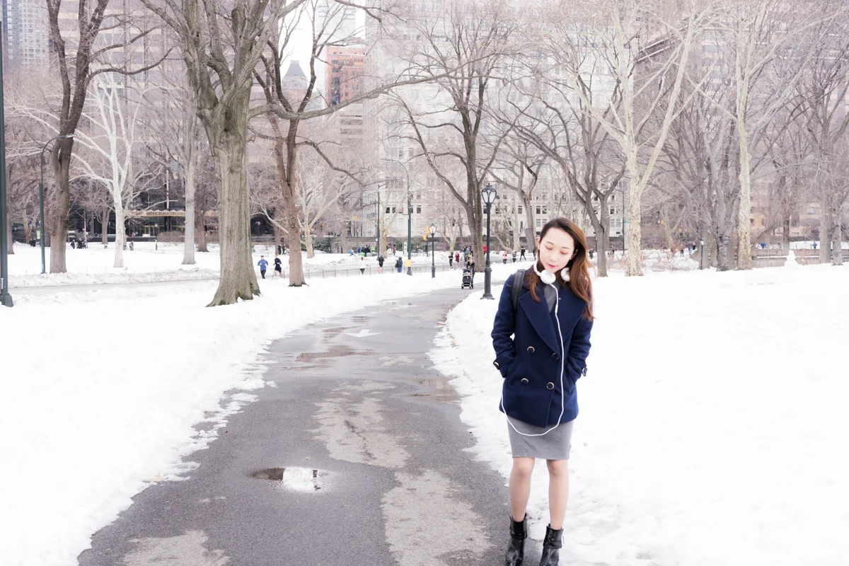 LeSycomore_Last_Snow_in_NewYork-mansurGavrel.jpg