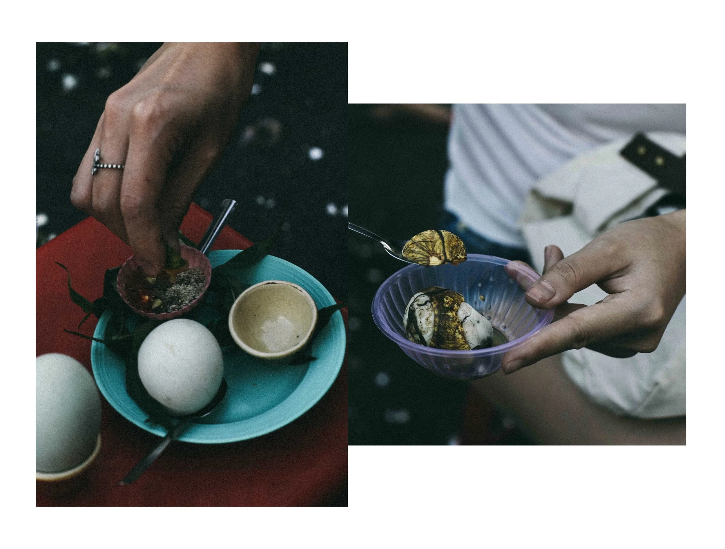 Collage Balut.jpg