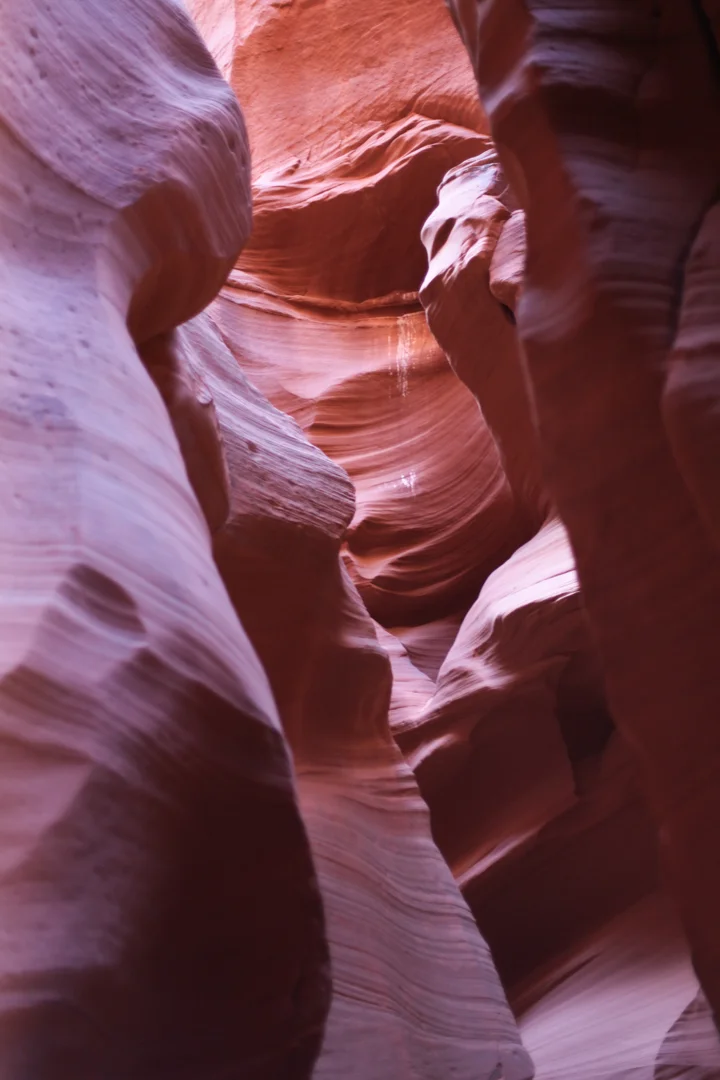 antelope_valley_lesycomore-1.jpg