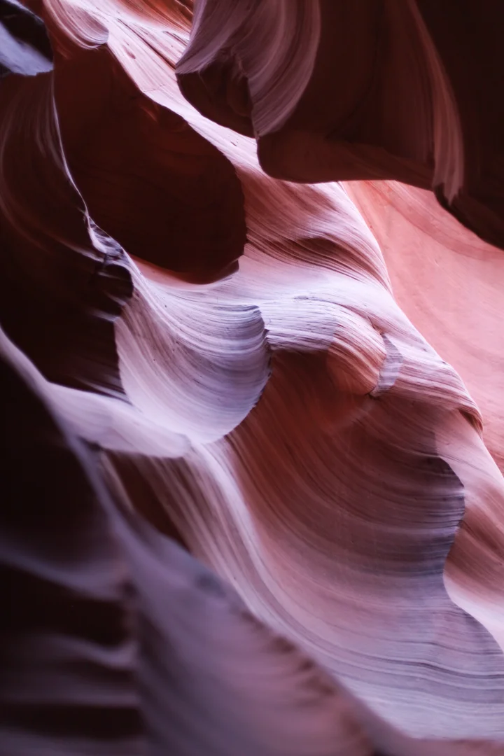 antelope_valley_lesycomore-3.jpg