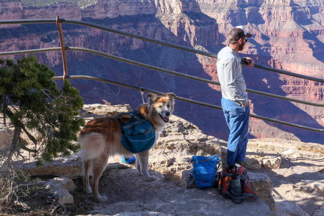 If a dog can make it, I can too. :)