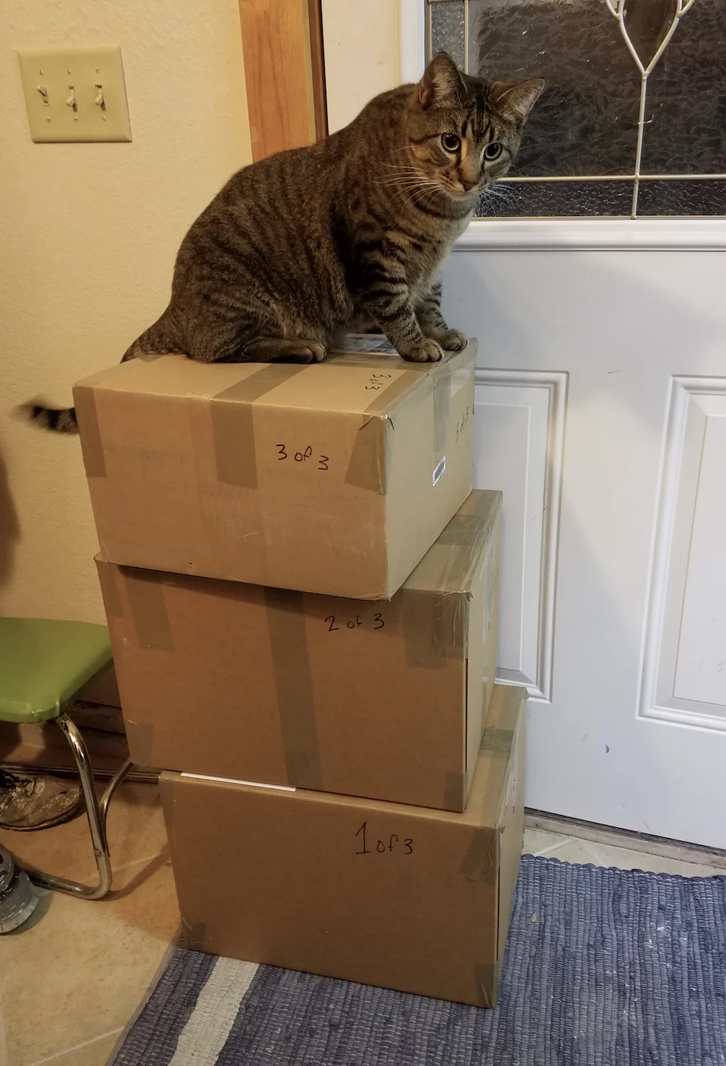 Packing for a show