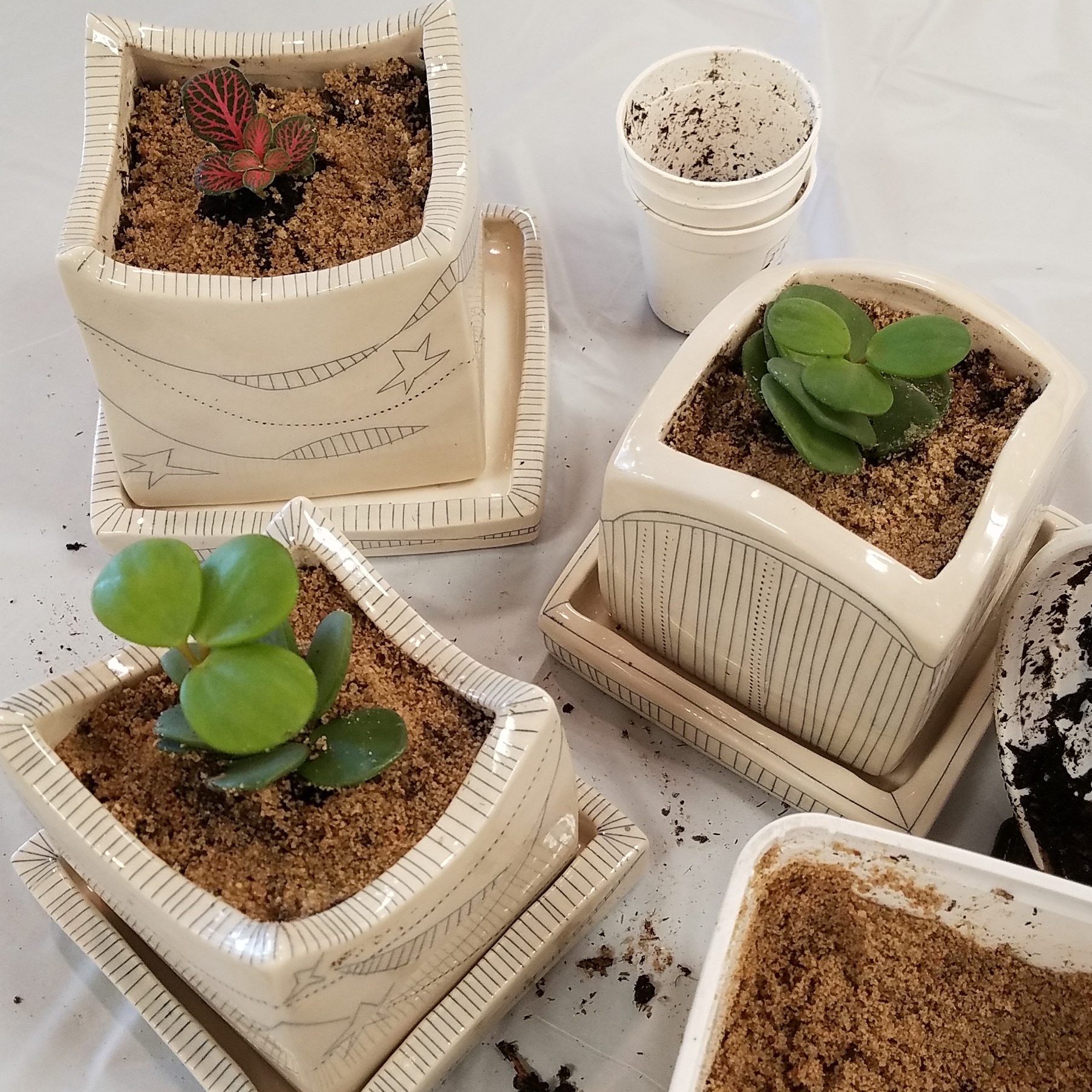 Class: Make a succulent planter!