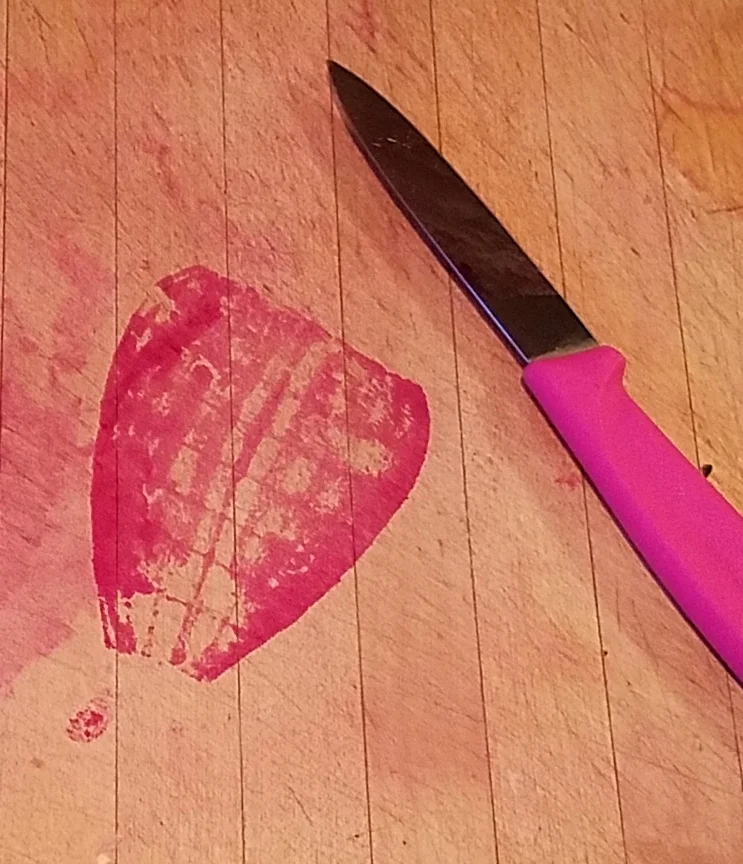 Class: Drawing & Monotype Printmaking