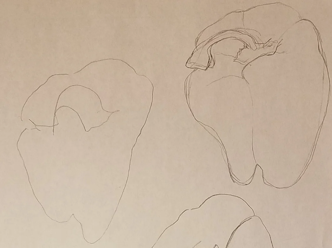 Class: Beginning Drawing