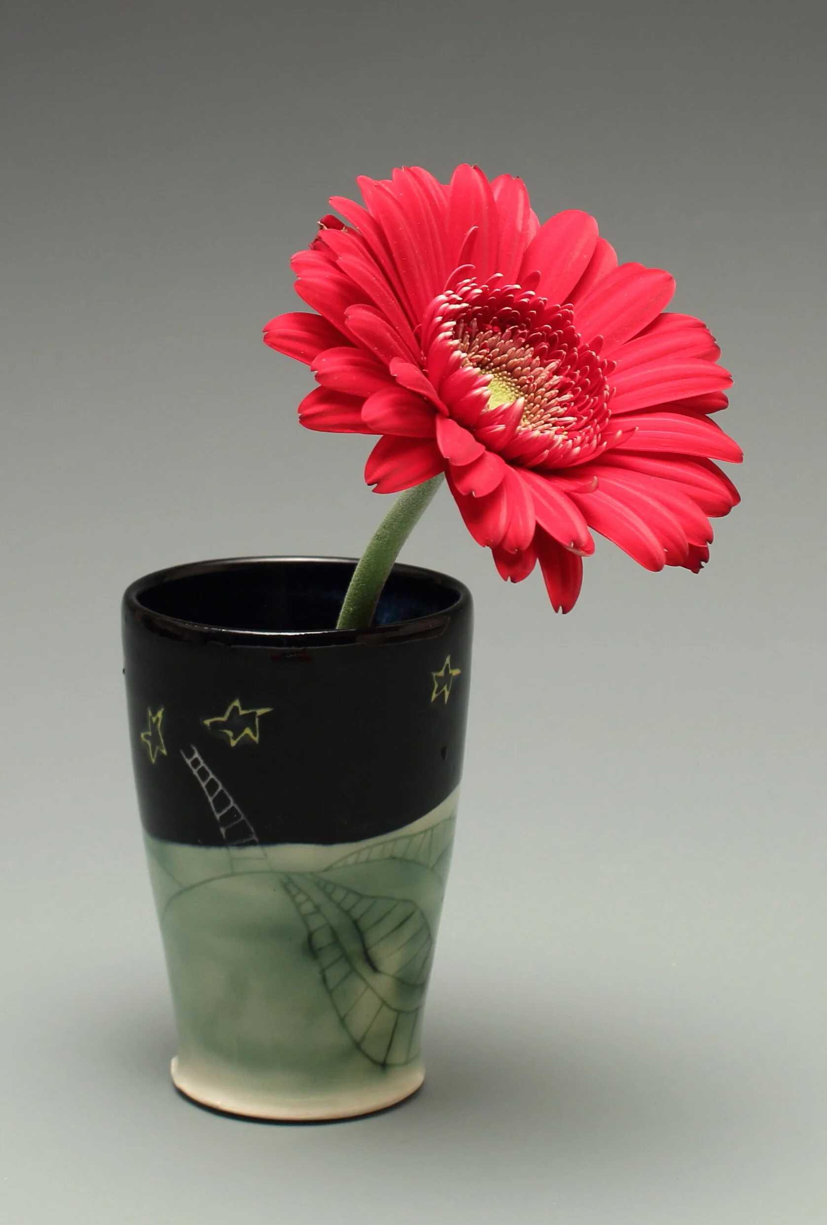 Class: Daytime Beginning Throwing