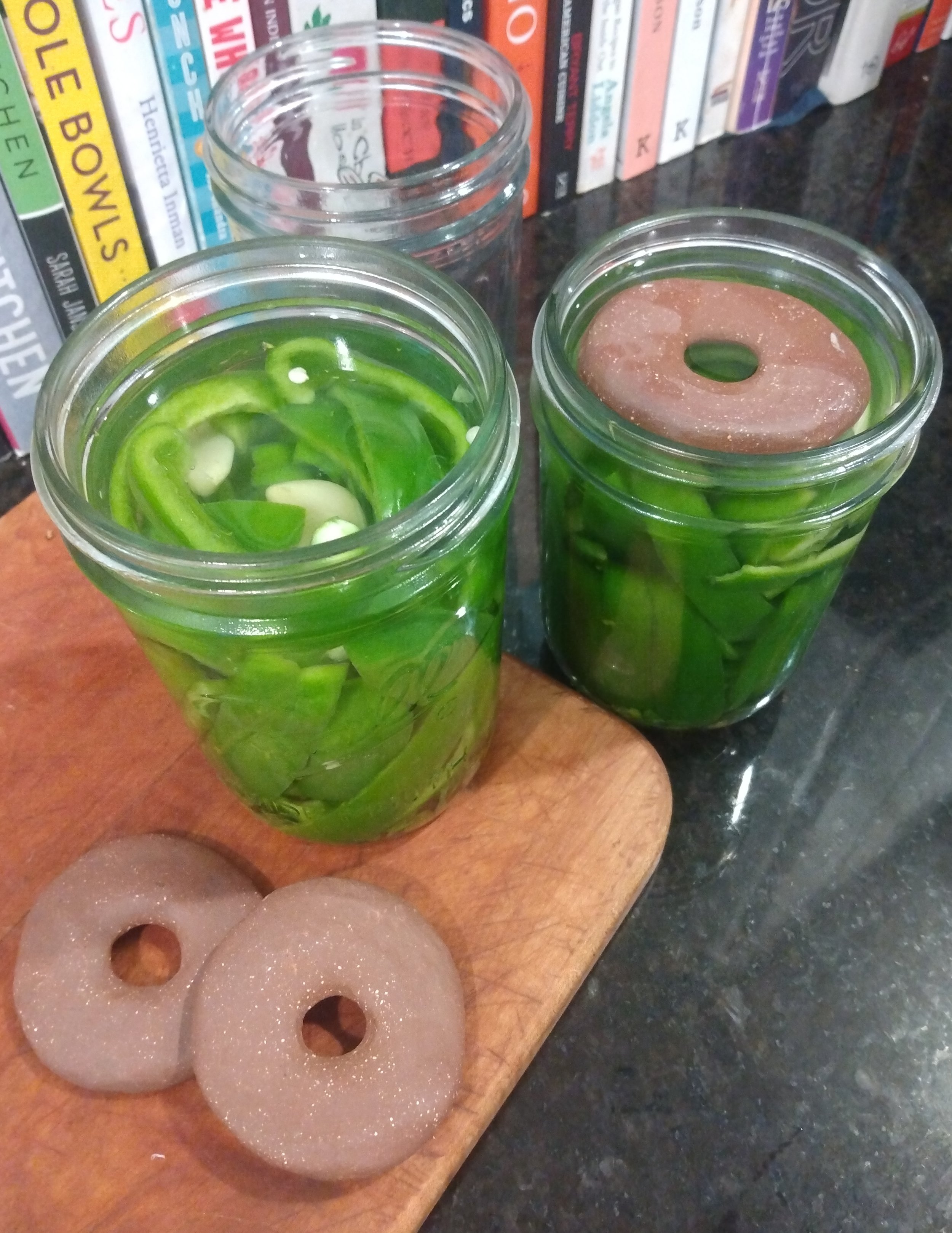 Fermenting Weight - Small