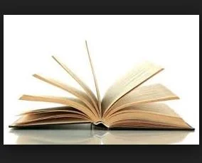 Austin Dillo Dolls Book Club