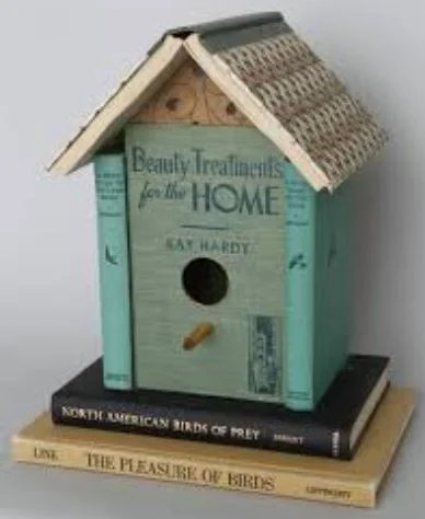 Austin Adirondak Book Club