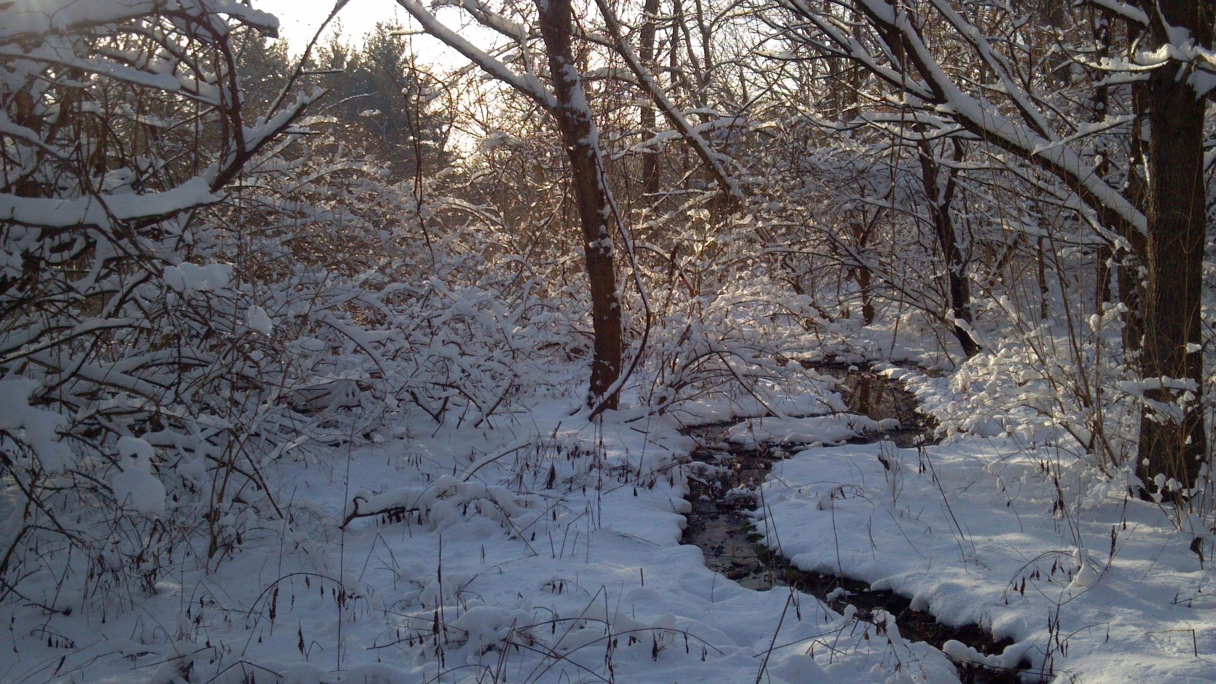 Perennial stream in Hamilton County, Ohio