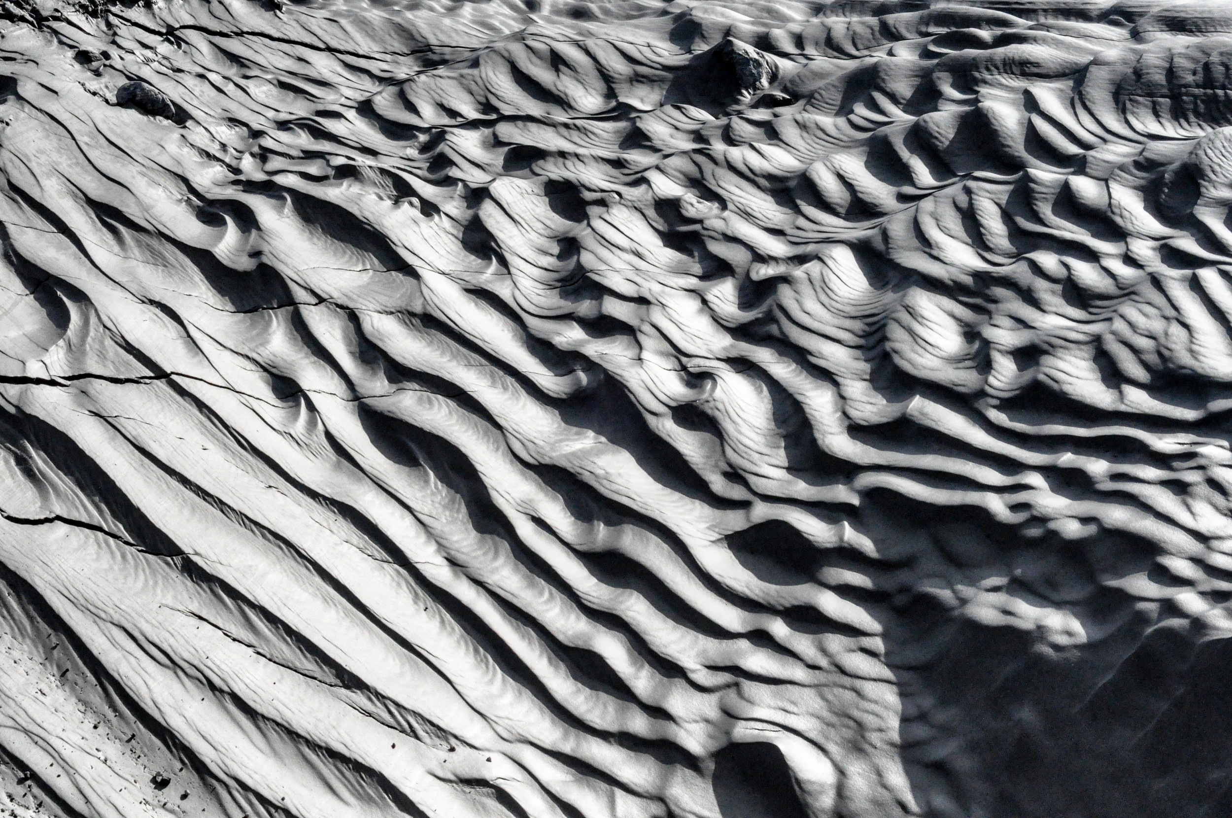 Riggs Glacier. Glacier Bay National Park, Alaska. 2015.