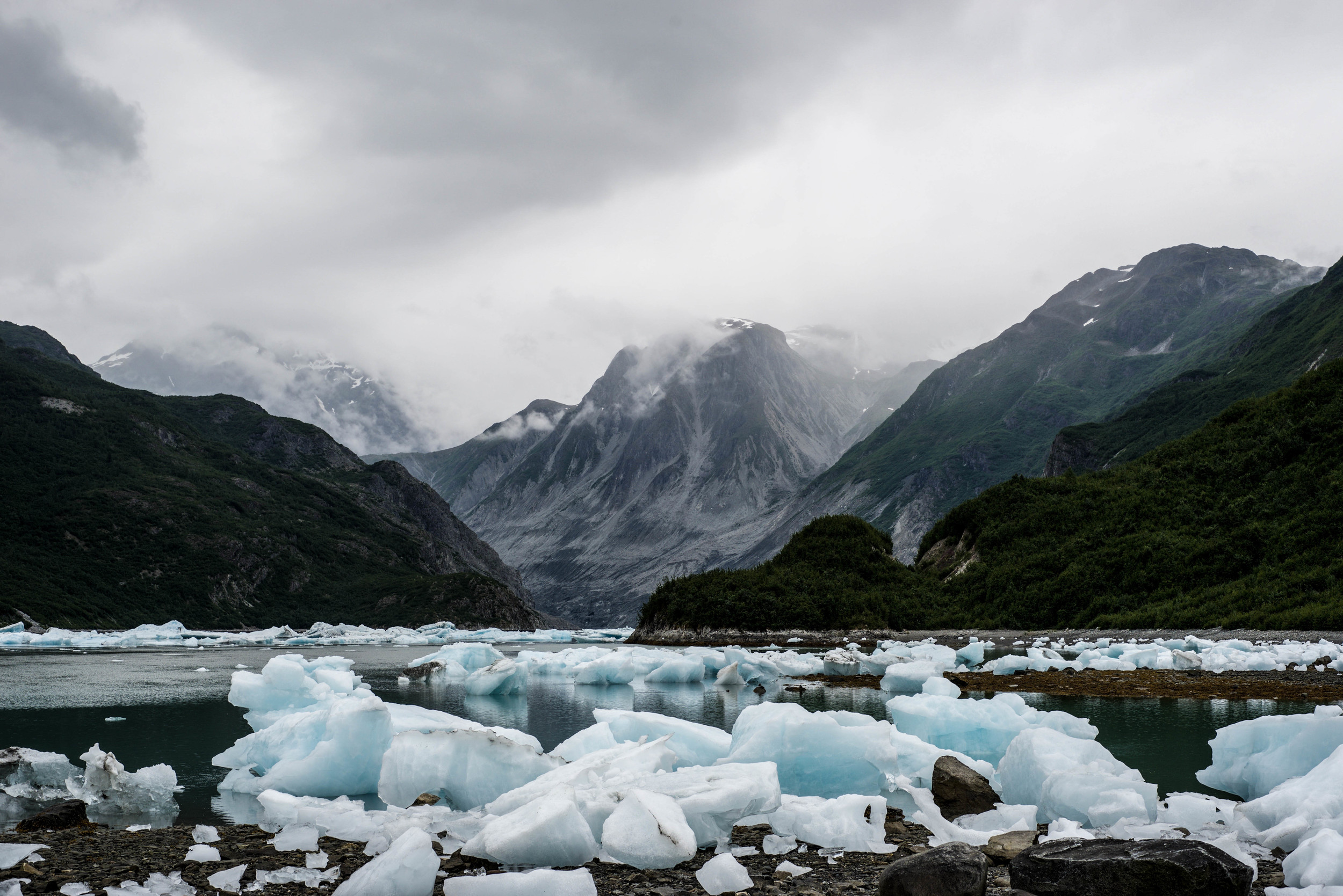 McBride Inlet. Glacier Bay National Park. 2016.