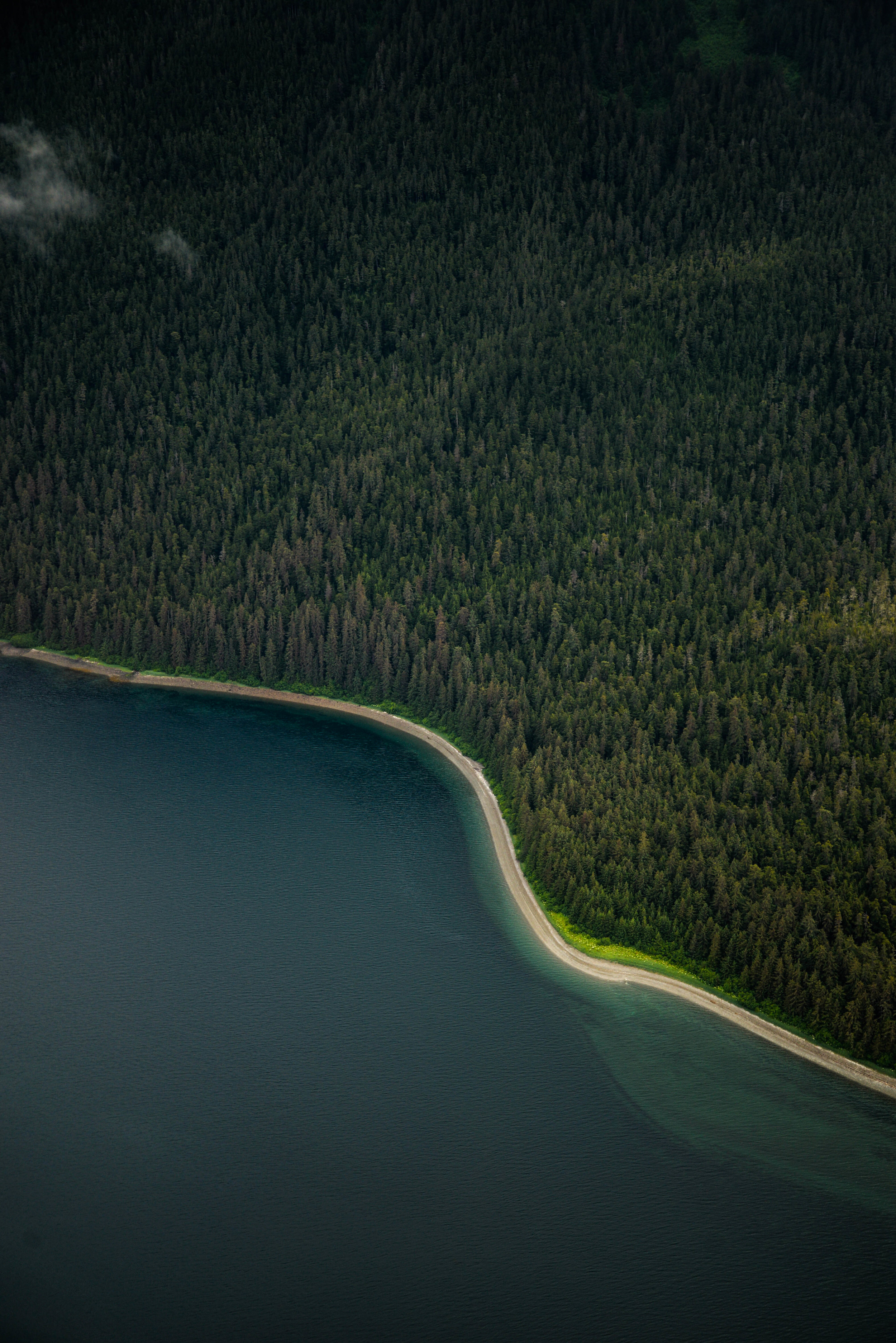 Somewhere between Gustavus and Juneau, Alaska. 2016.