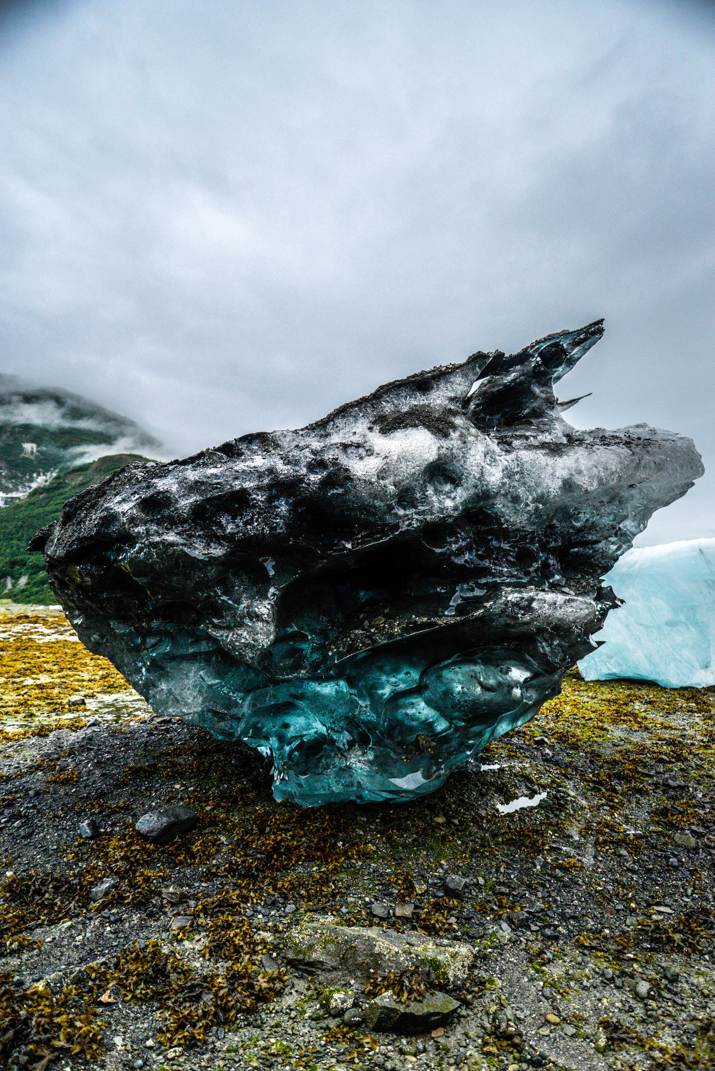 Iceberg in Muir Inlet. Glacier Bay National Park. 2016.