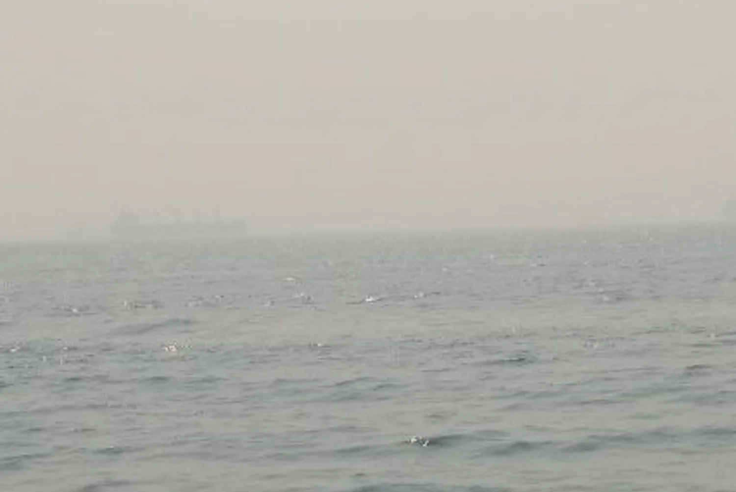 Ghost Ships in the Harbour