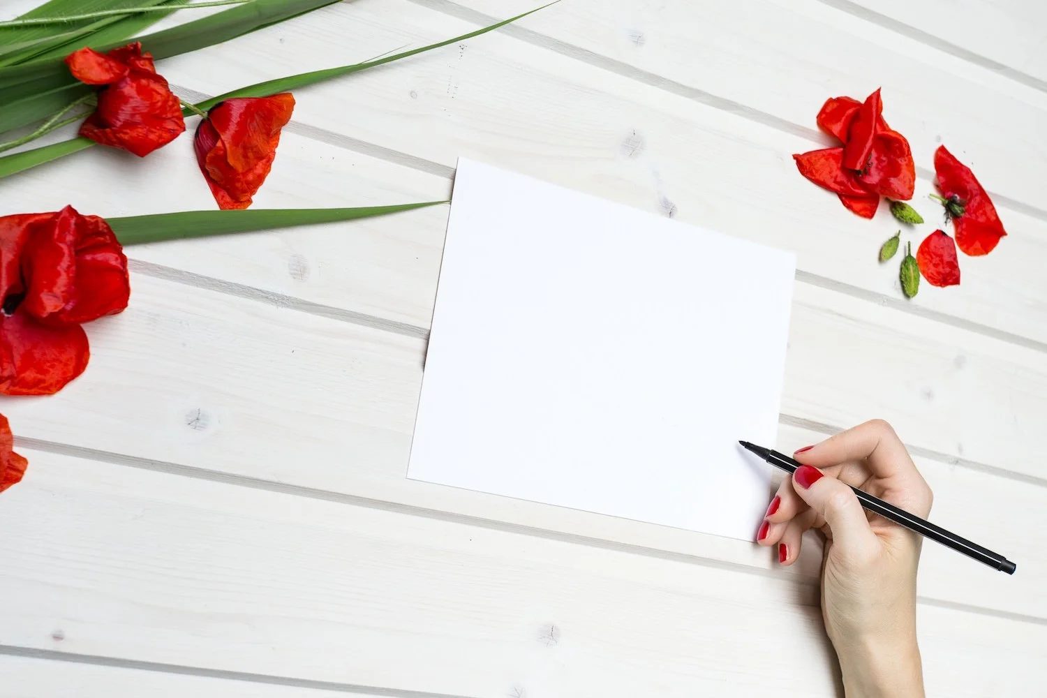 Why Do I Write?