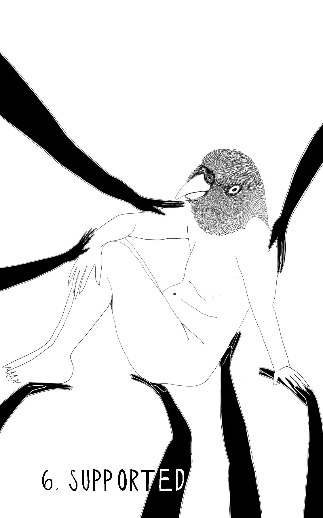   Love Bird   (Agapornis) 
