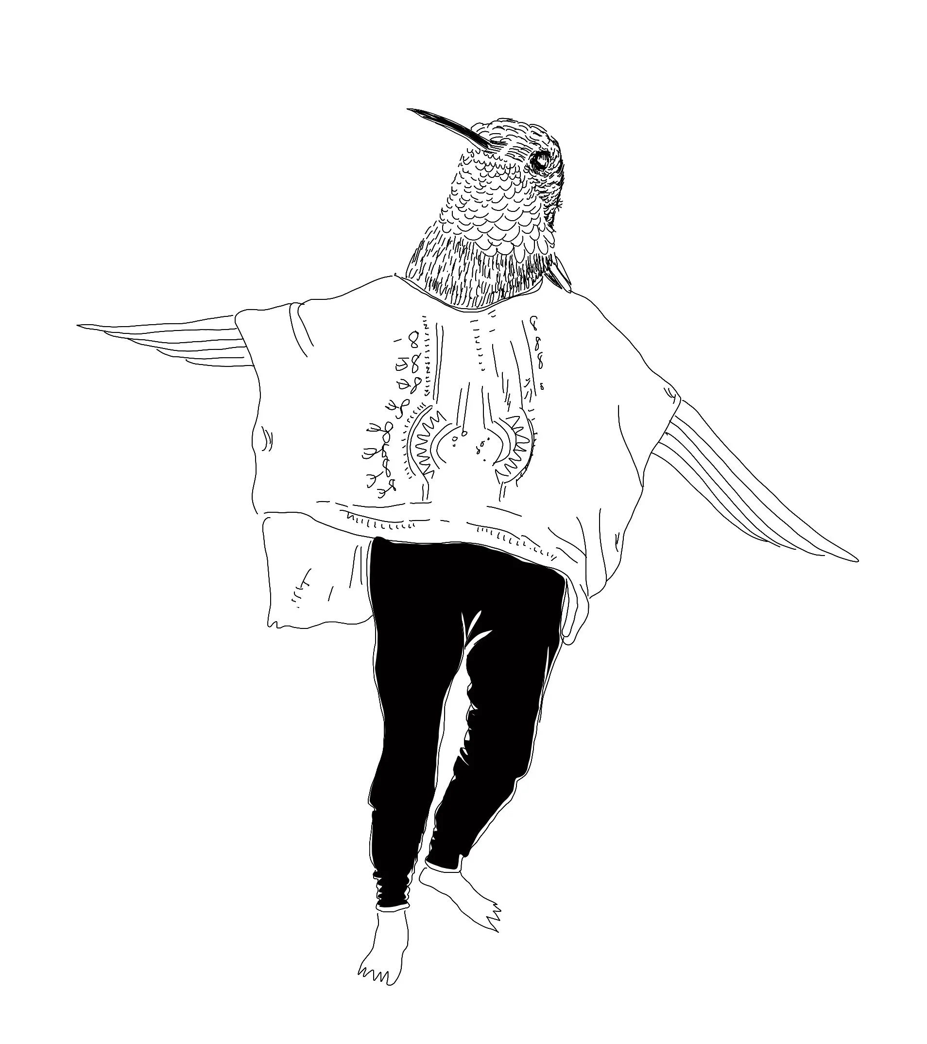Bird Songs to Soothe