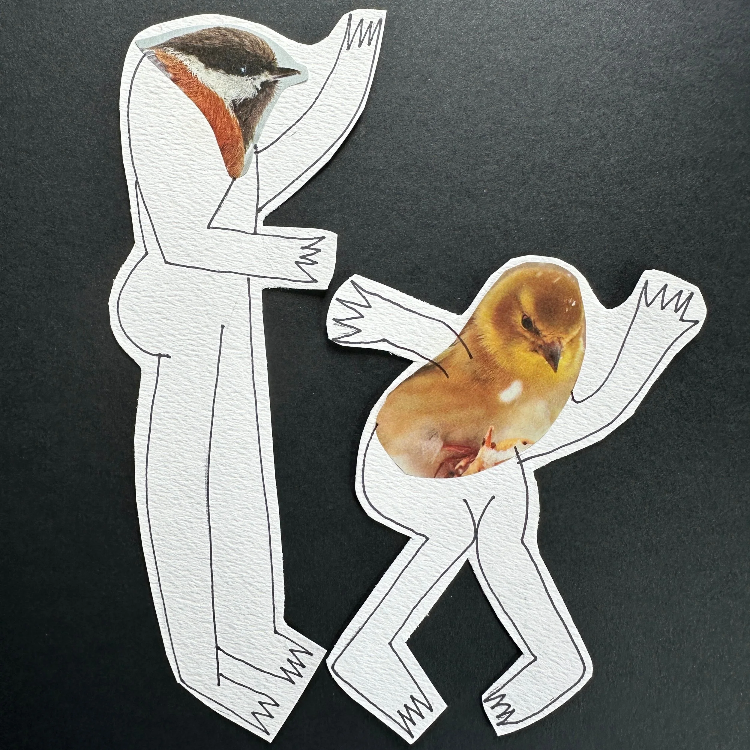 COLLAGING BIRDSONG: Free Full Moon Creative Ritual