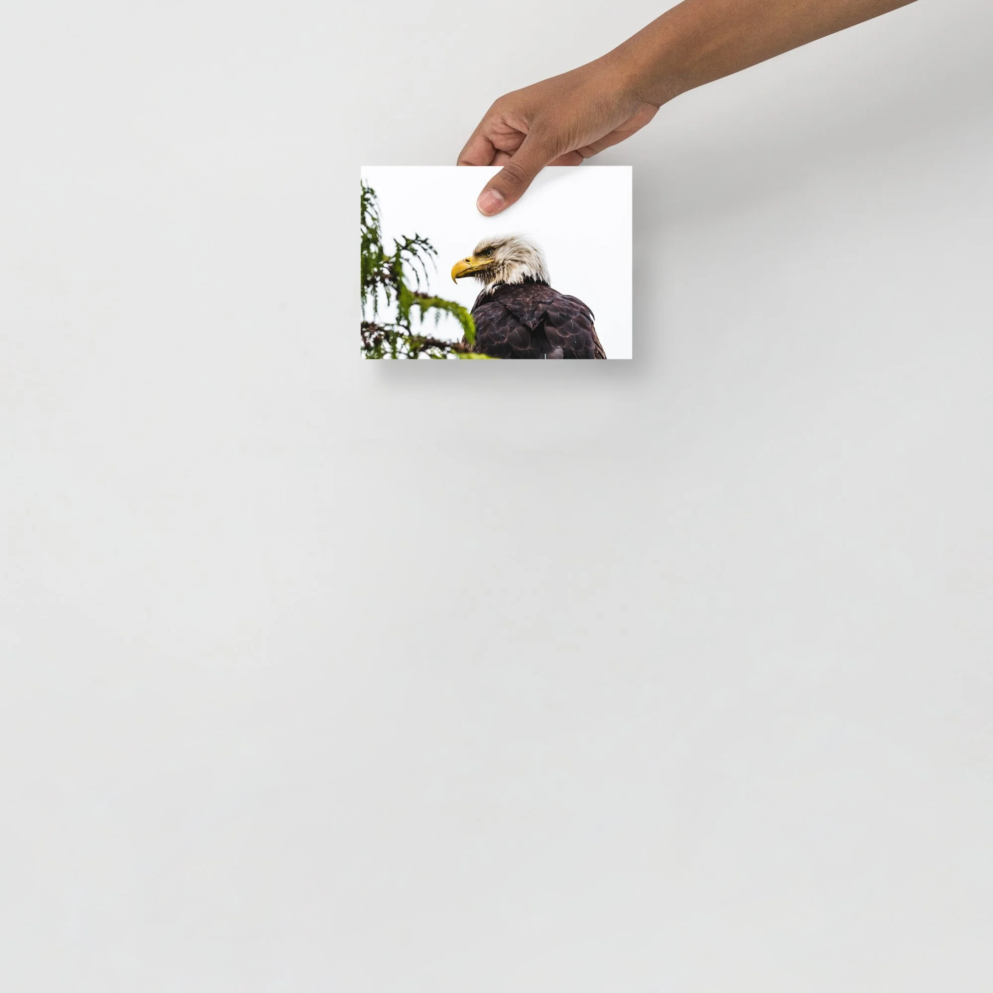 premium-luster-photo-paper-poster-(in)-5x7-front-684b91a8b67fb.jpg