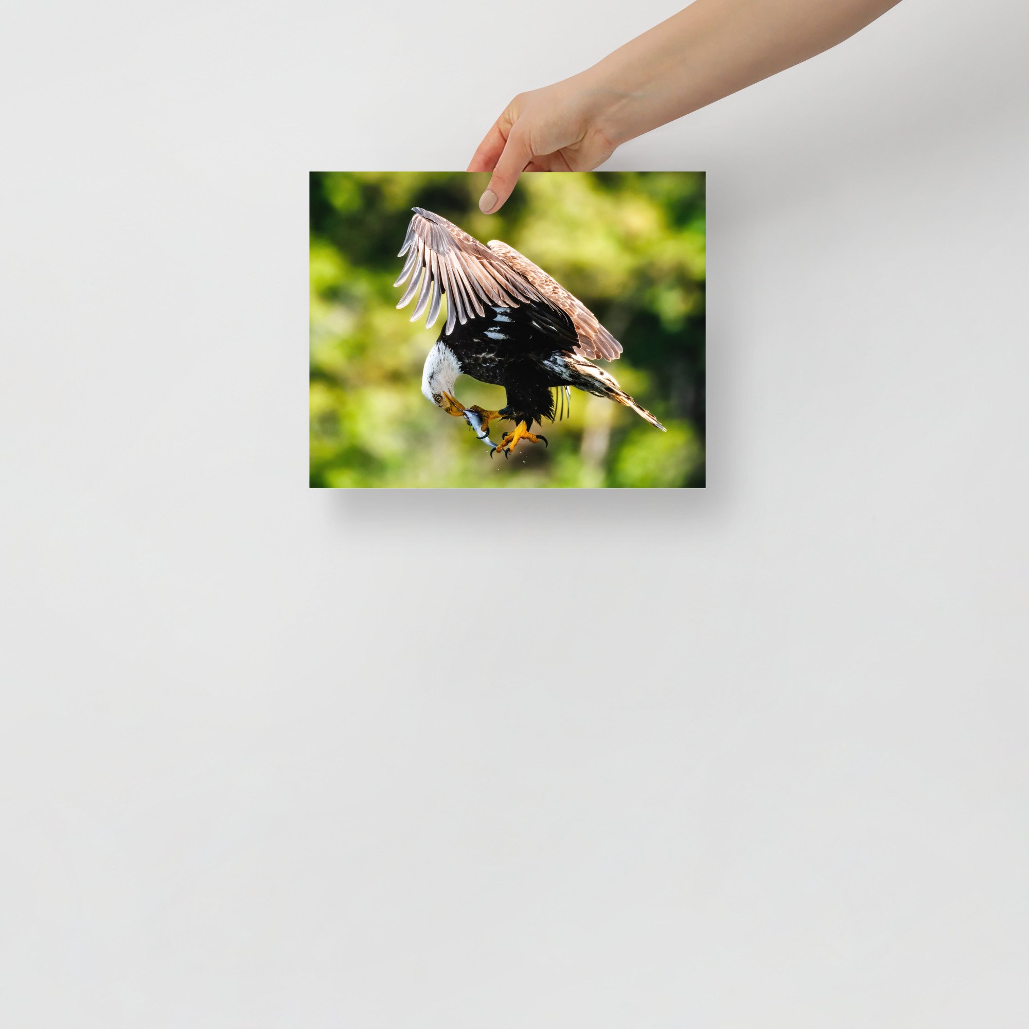 premium-luster-photo-paper-poster-(in)-8x10-front-684b92a48a2e5.jpg