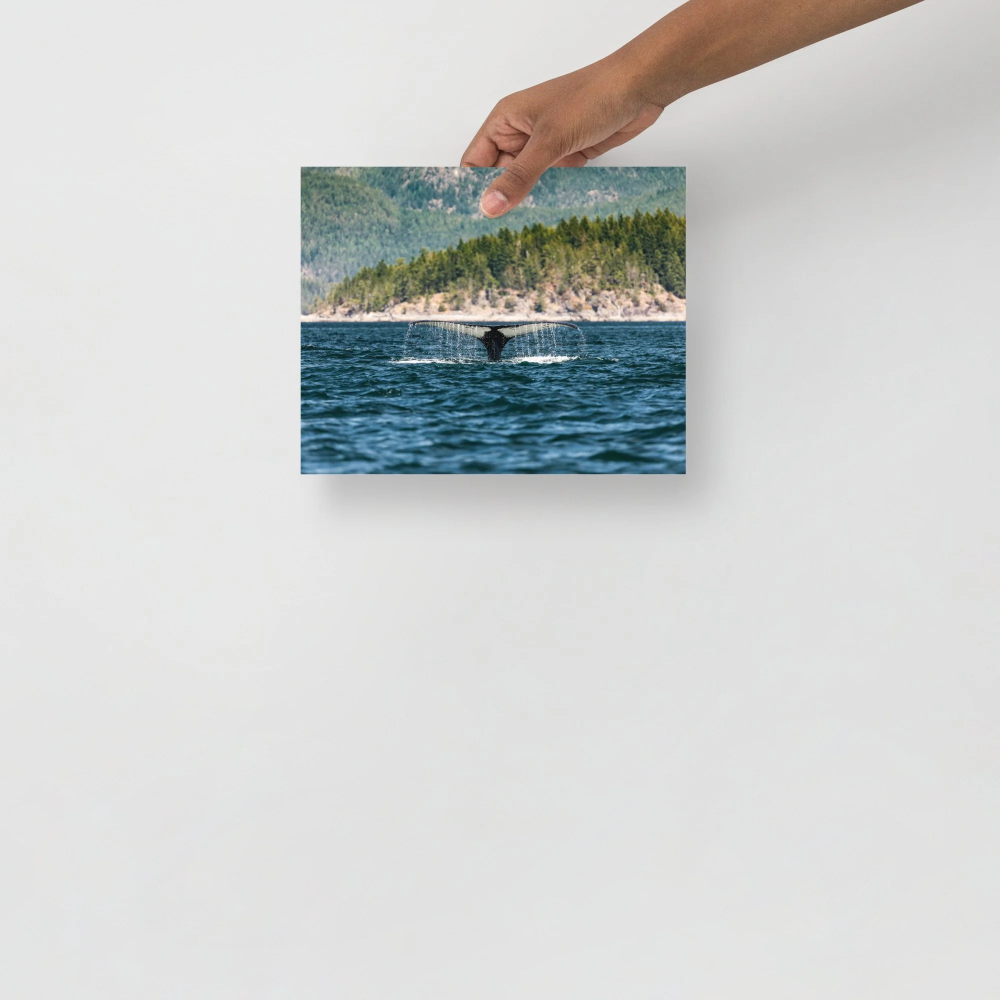 premium-luster-photo-paper-poster-(in)-8x10-front-684b9391542c0.jpg