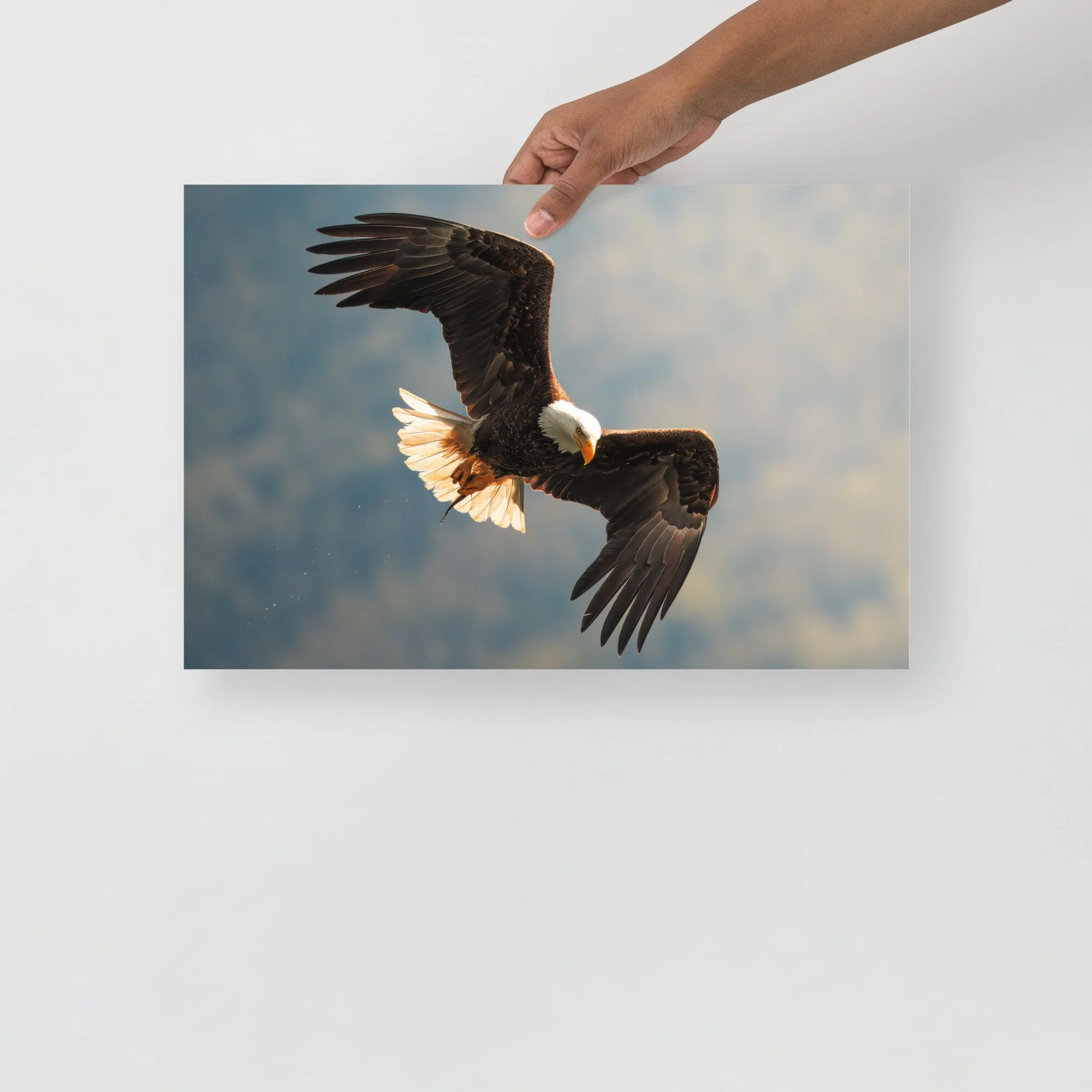premium-luster-photo-paper-poster-(in)-12x18-front-684b93b19fc1e.jpg